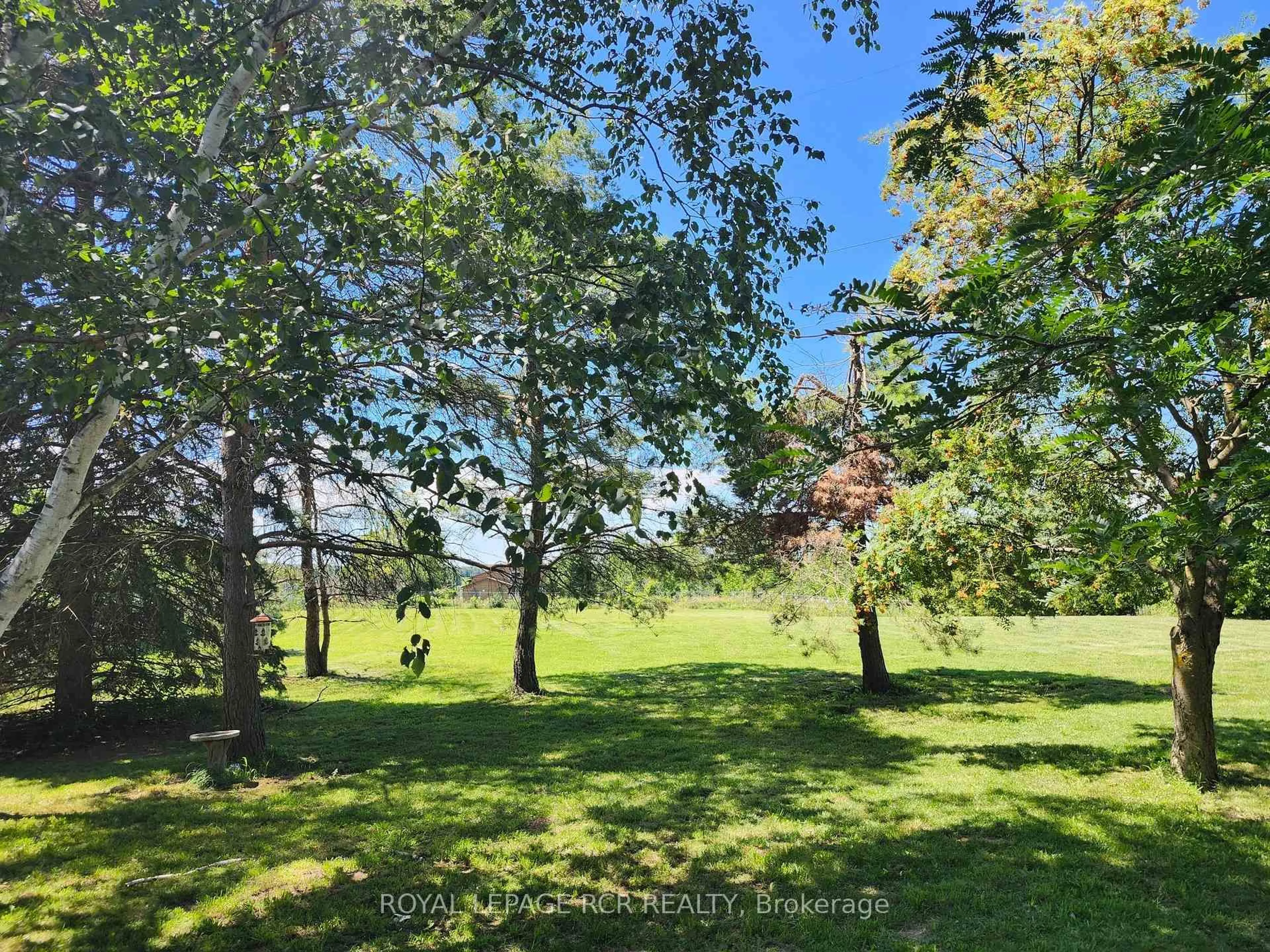 A pic from outside/outdoor area/front of a property/back of a property/a pic from drone, forest/trees view for 4044 Ravenshoe Rd, Georgina Ontario L0E 1R0