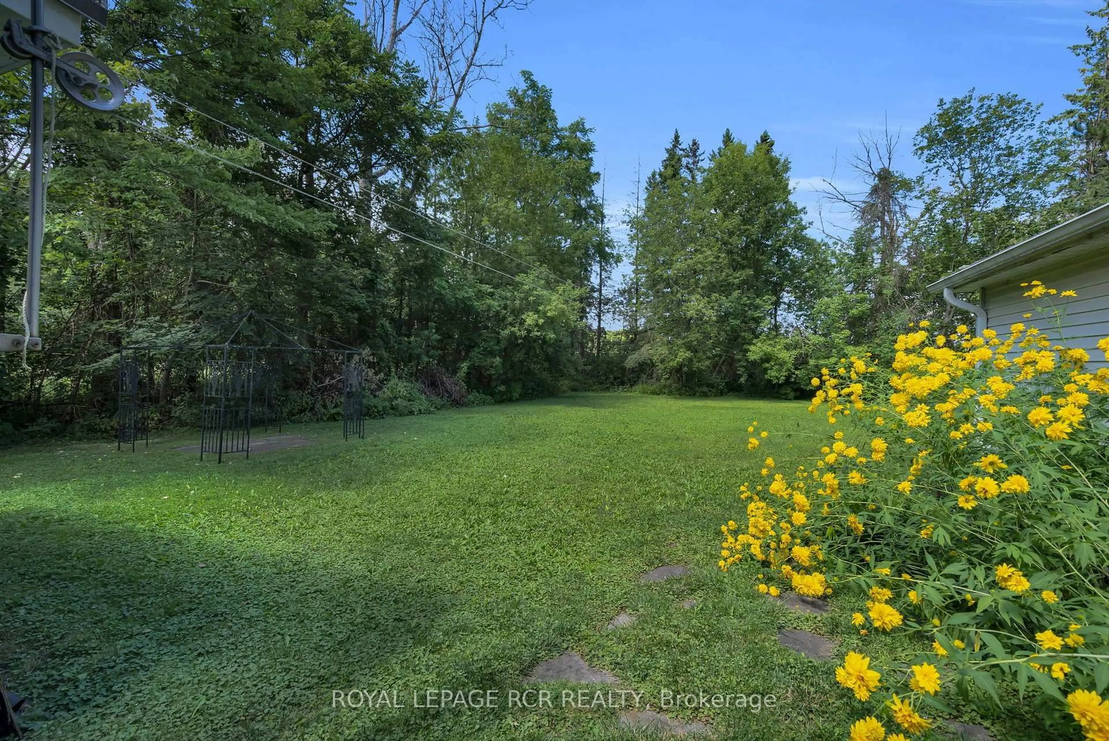 A pic from outside/outdoor area/front of a property/back of a property/a pic from drone, forest/trees view for 36 May Ave, East Gwillimbury Ontario L0G 1V0