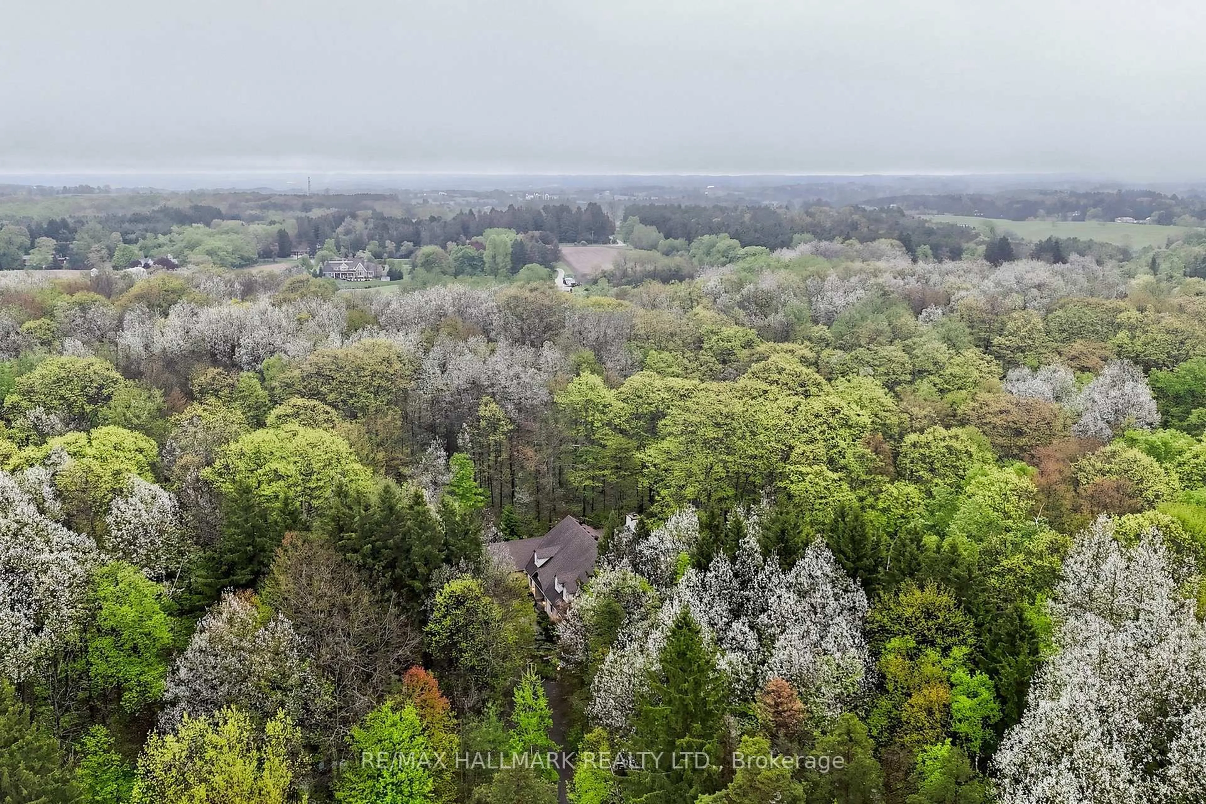 A pic from outside/outdoor area/front of a property/back of a property/a pic from drone, forest/trees view for 95 Fog Rd, King Ontario L7B 1A3