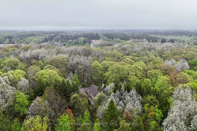 95 Fog Rd, King 2