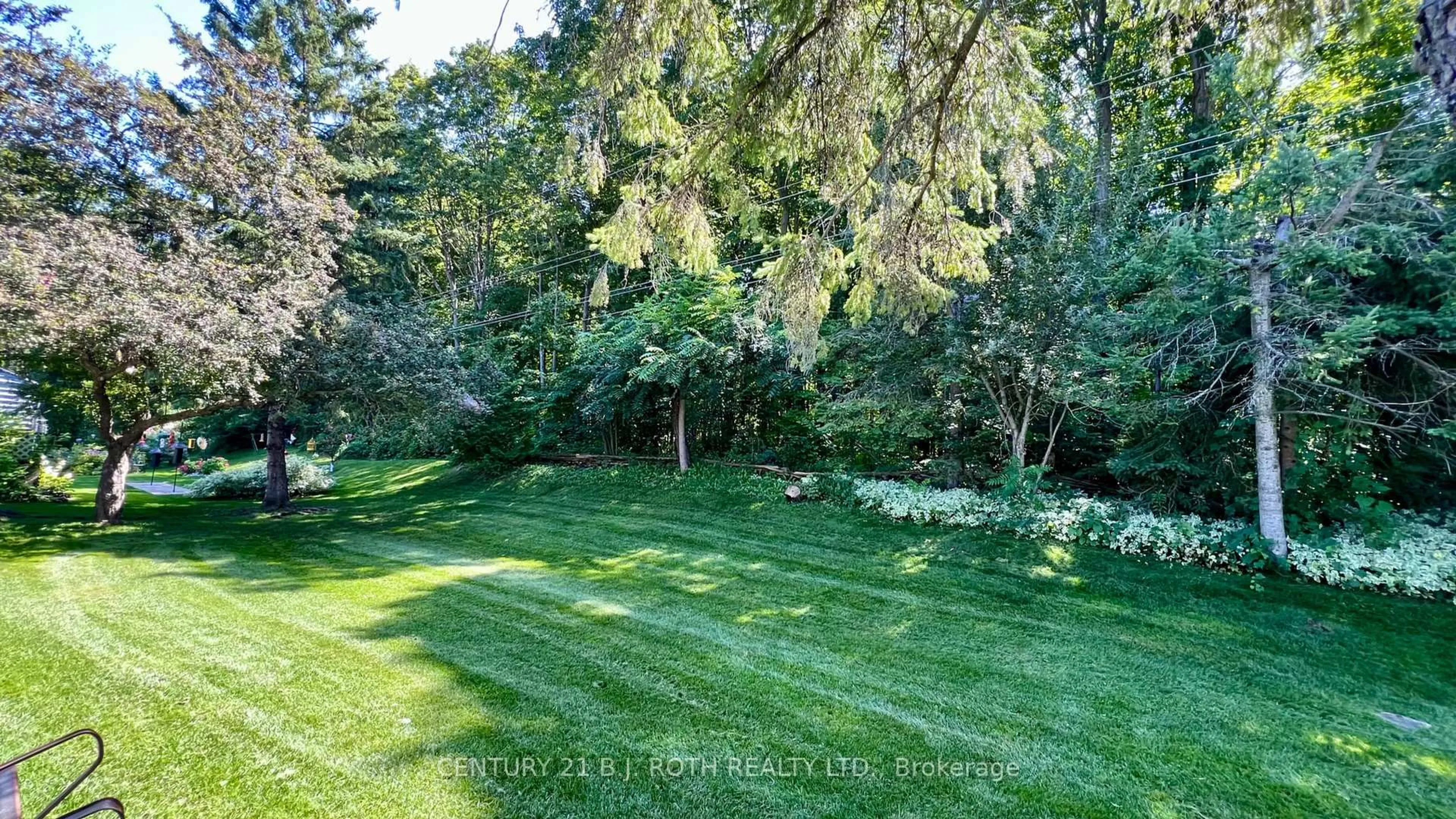 A pic from outside/outdoor area/front of a property/back of a property/a pic from drone, forest/trees view for 31 Corner Brook Tr, Innisfil Ontario L9S 1P5