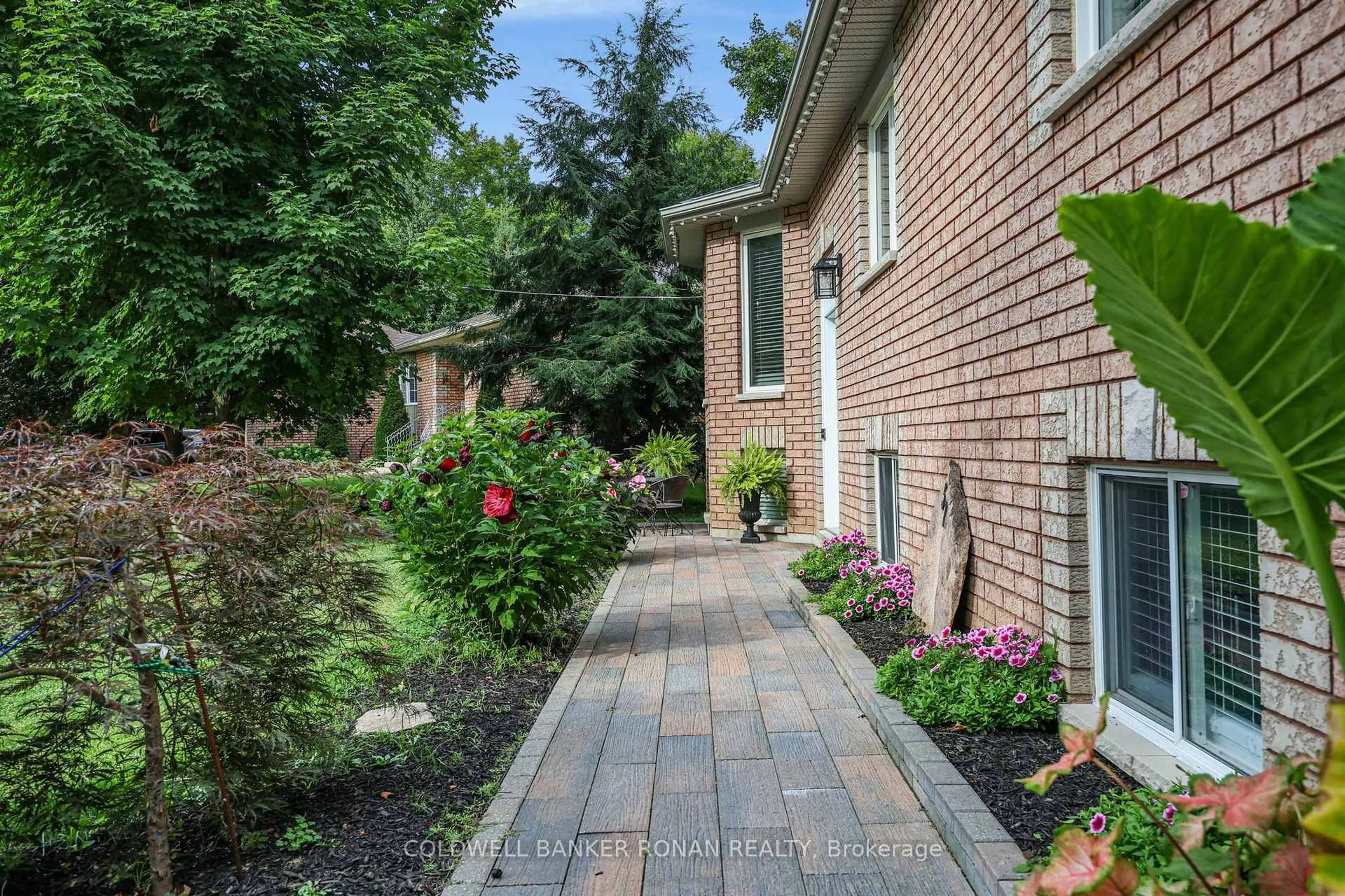 Patio, street for 57 Pine Park Blvd, Adjala-Tosorontio Ontario L0M 1J0