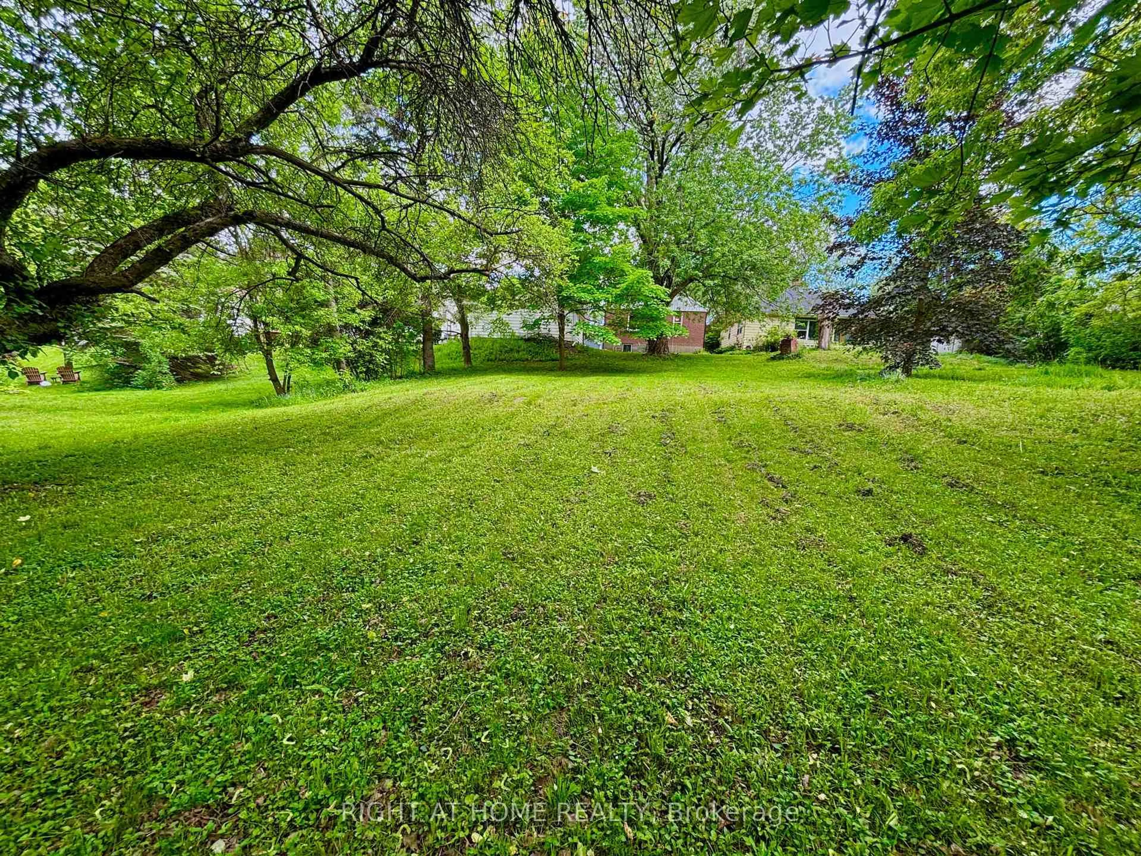 A pic from outside/outdoor area/front of a property/back of a property/a pic from drone, forest/trees view for 735 Srigley St, Newmarket Ontario L3Y 1X6