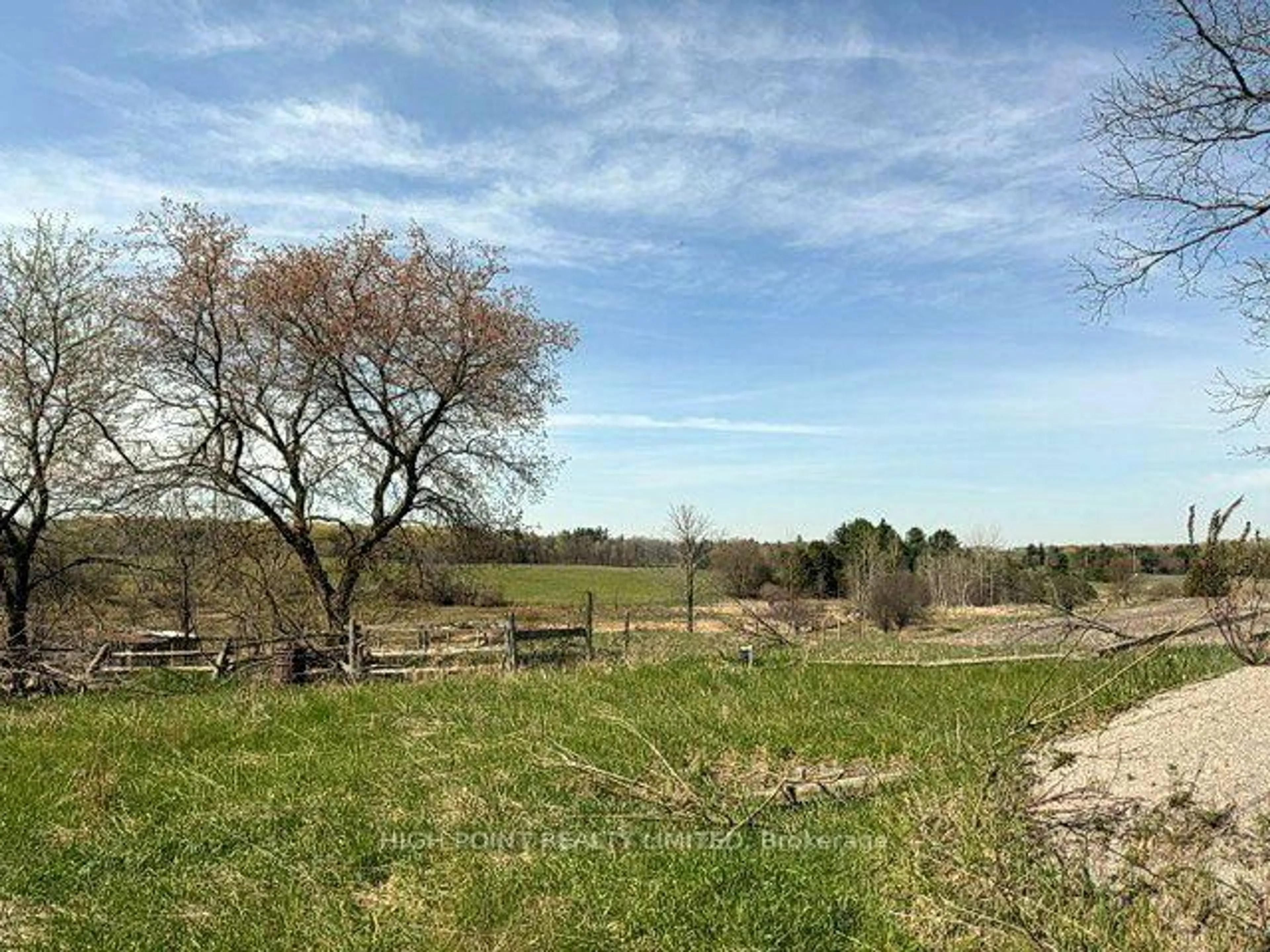 A pic from outside/outdoor area/front of a property/back of a property/a pic from drone, forest/trees view for 4219 Mt. Albert Rd, East Gwillimbury Ontario L0G 1M0