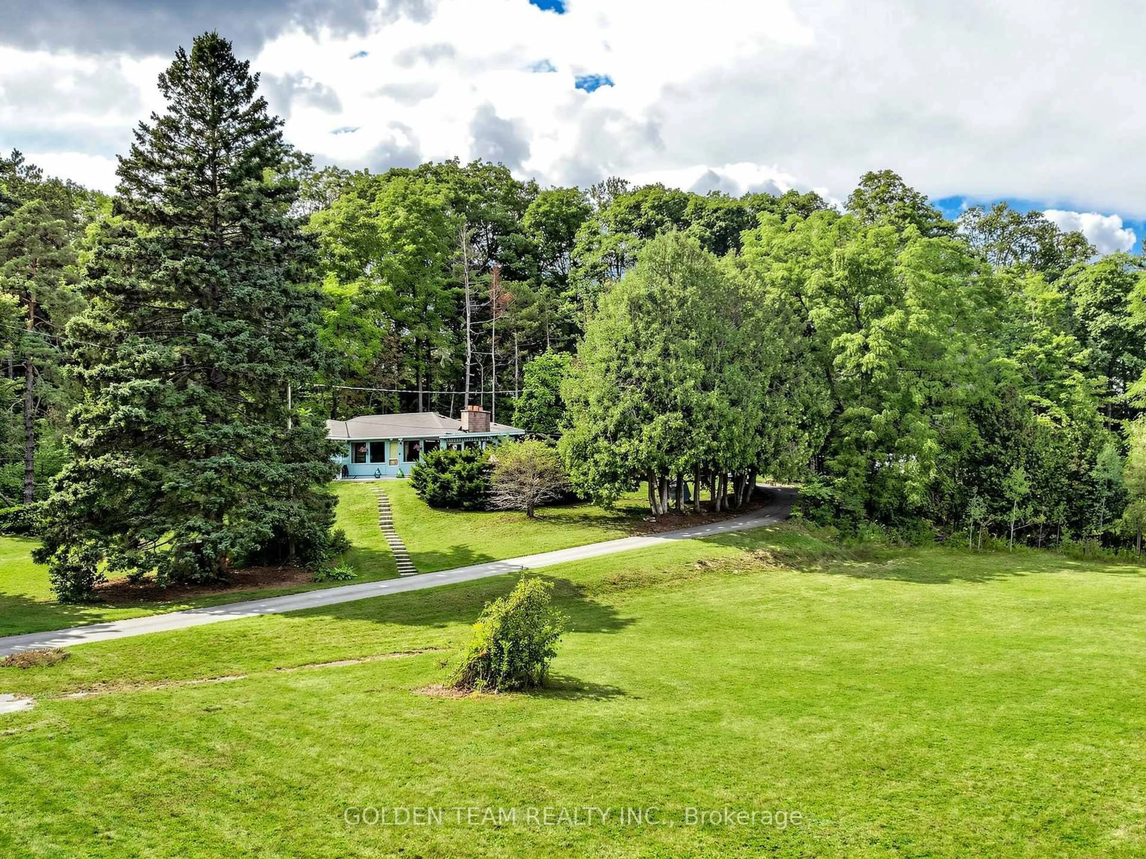 A pic from outside/outdoor area/front of a property/back of a property/a pic from drone, forest/trees view for 242 Ridge Rd, Aurora Ontario L4G 0M3