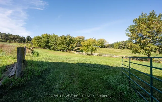 1438 Concession 3 Rd, Adjala-Tosorontio 3