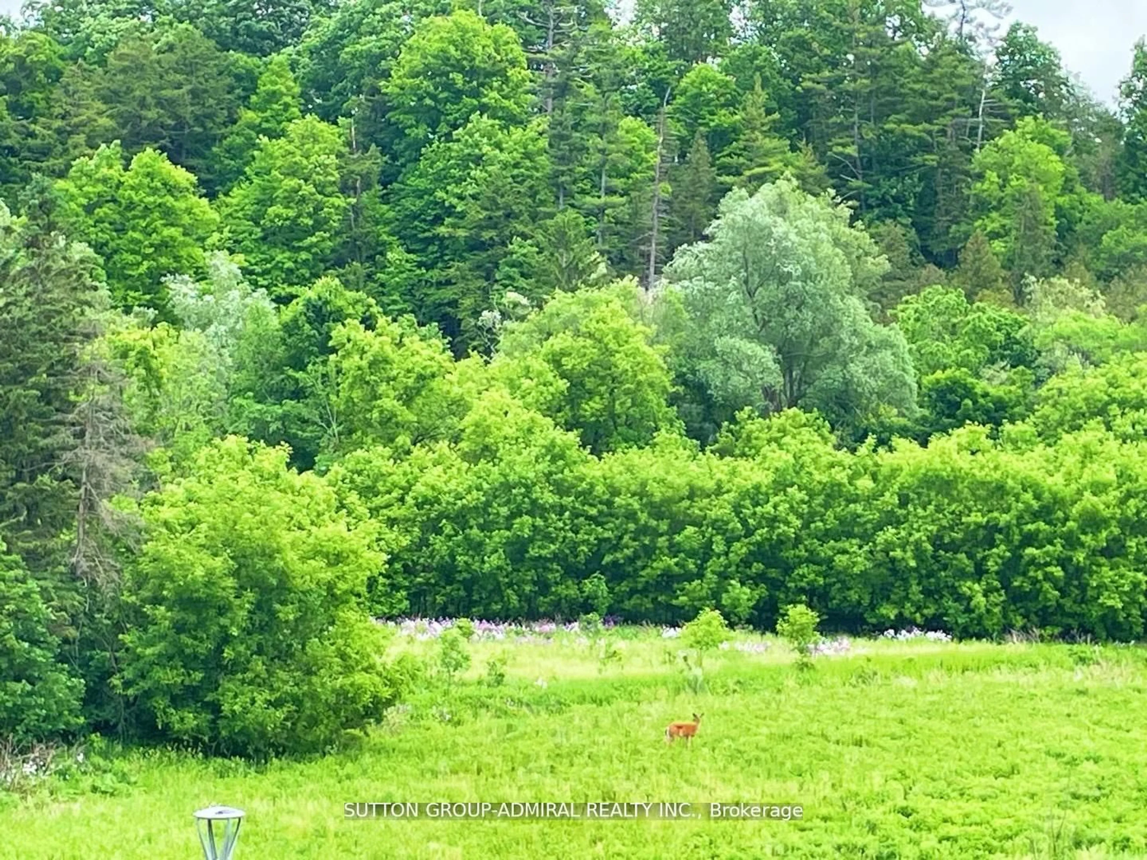 trreb/IMG-N13828690_1eab03cc-39c2-4cf4-a66f-a35f65758d59-l.jpg