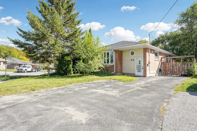 65 Walter Ave, Newmarket 2