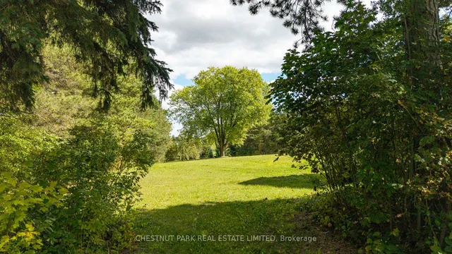 15575 12th Concession, King 5
