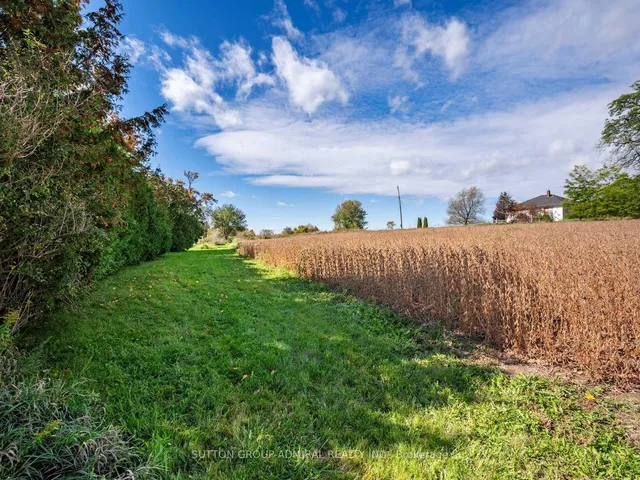 4122 County 88 Rd, Bradford West Gwillimbury 5