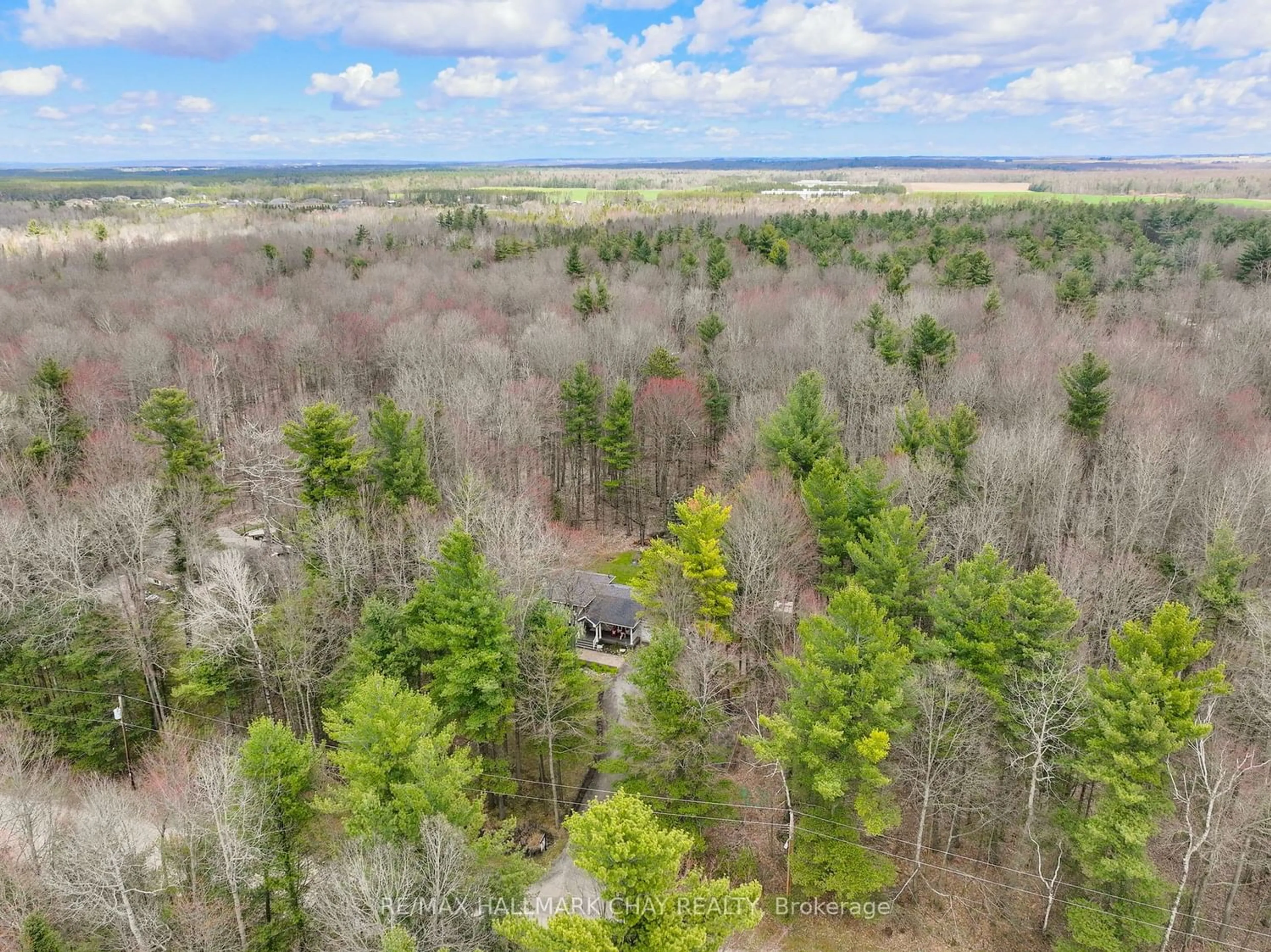 Forest view for 8 Woodland Heights Dr, Adjala-Tosorontio Ontario L0M 1J0