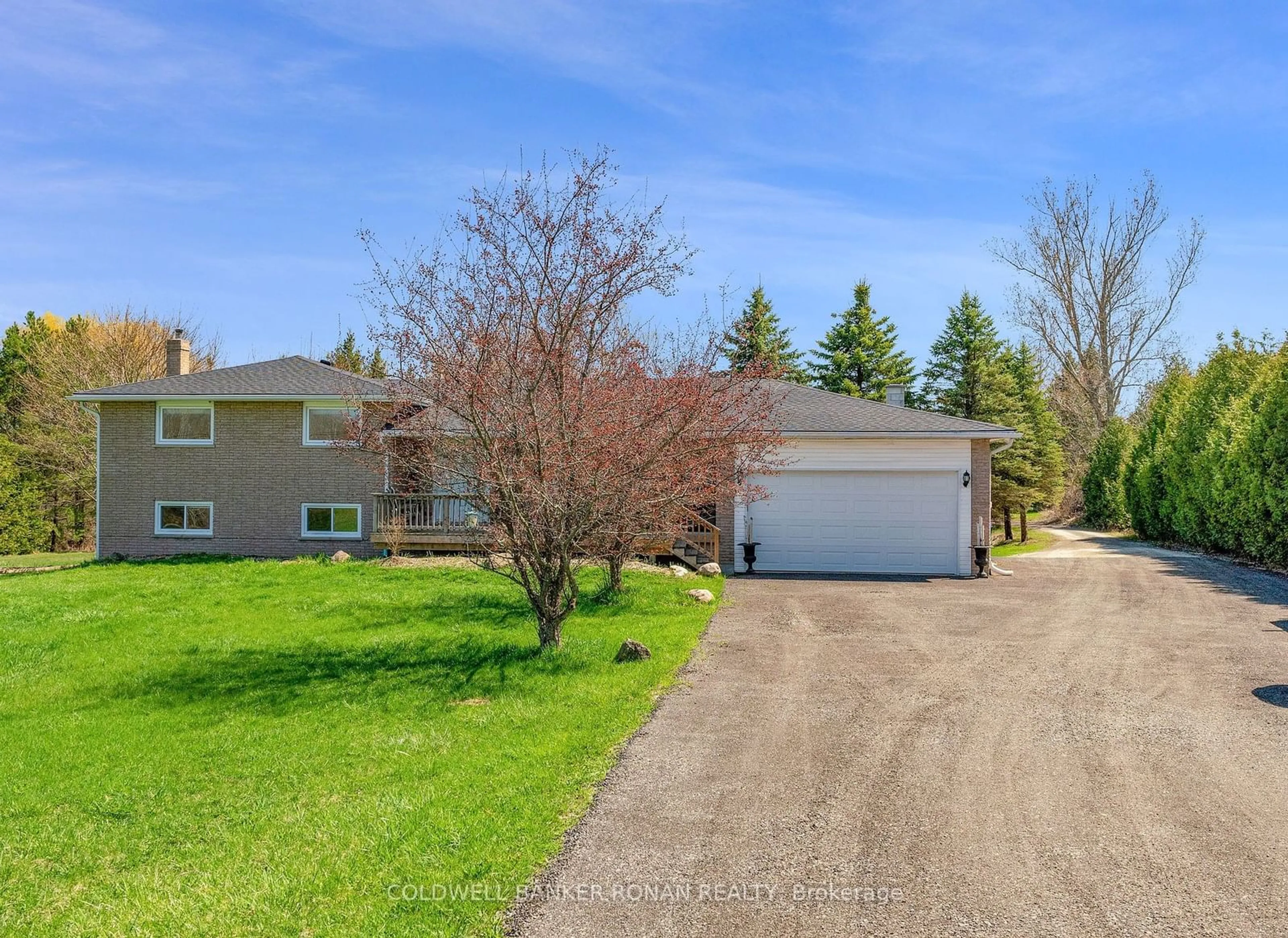 Frontside or backside of a home for 5657 6th Line, New Tecumseth Ontario L0G 1W0