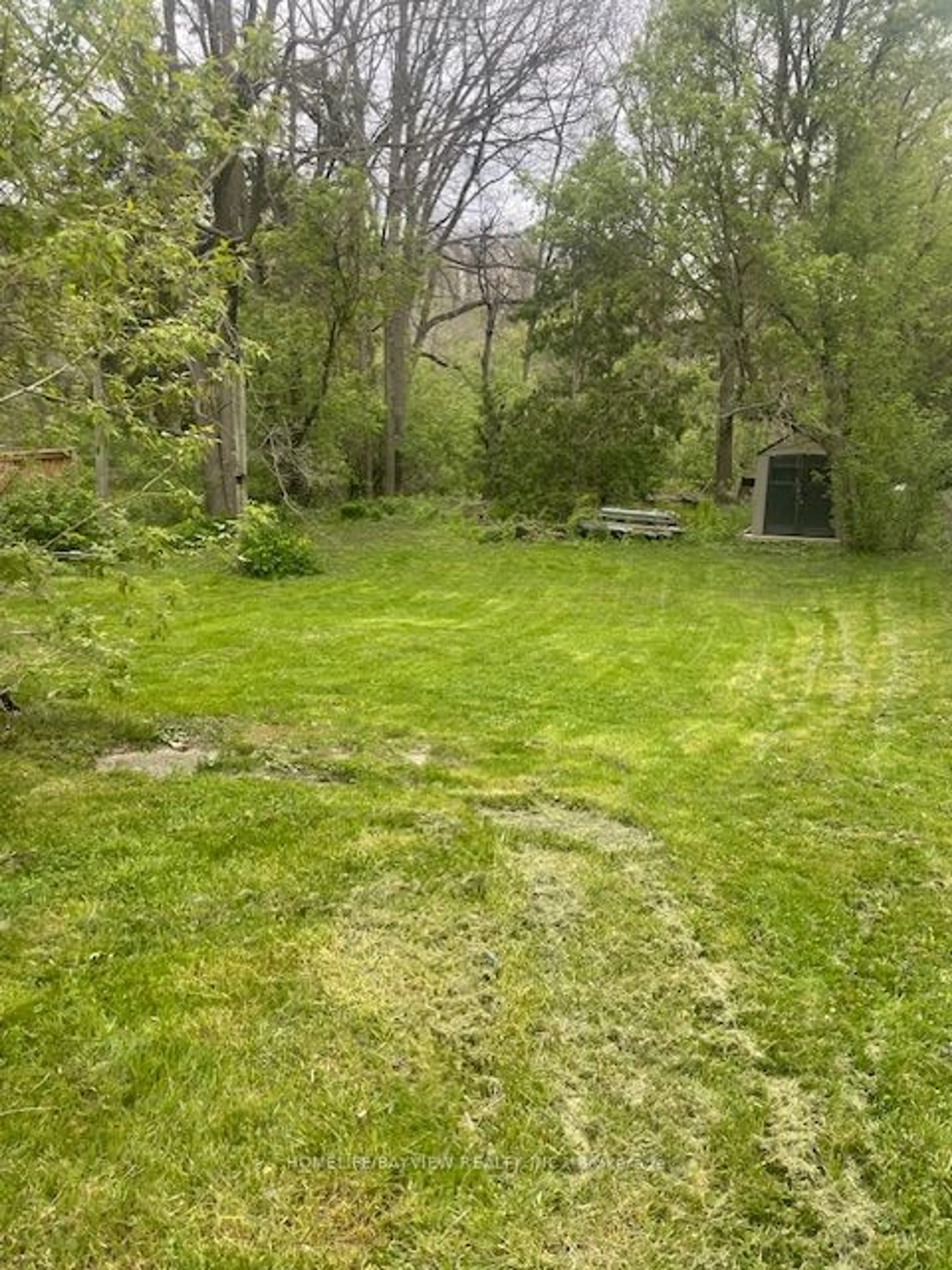 Fenced yard for 137 Clarence St, Vaughan Ontario L4L 1L4