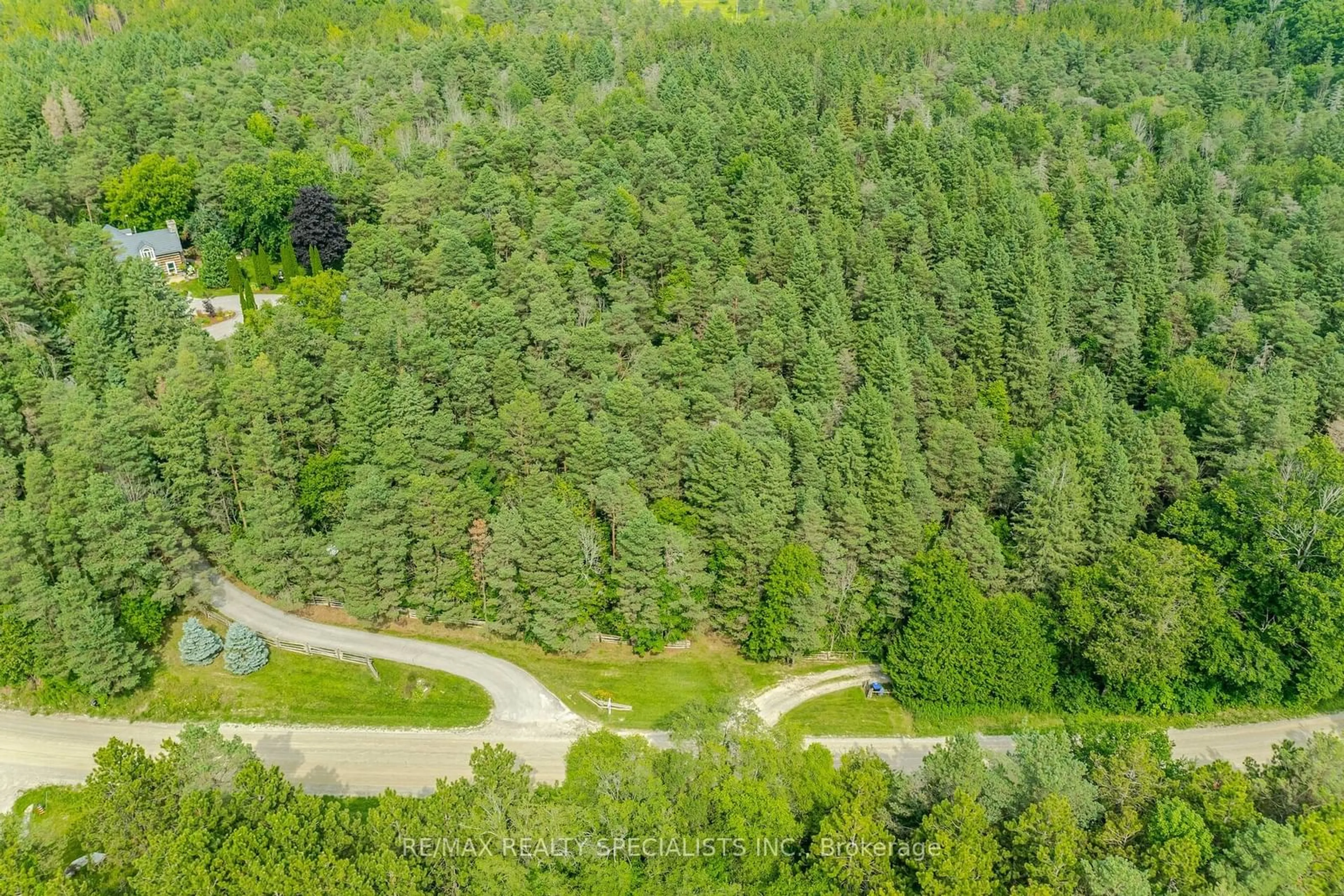 Forest view for 2193 Concession Road 5 Rd, Adjala-Tosorontio Ontario L0G 1L0