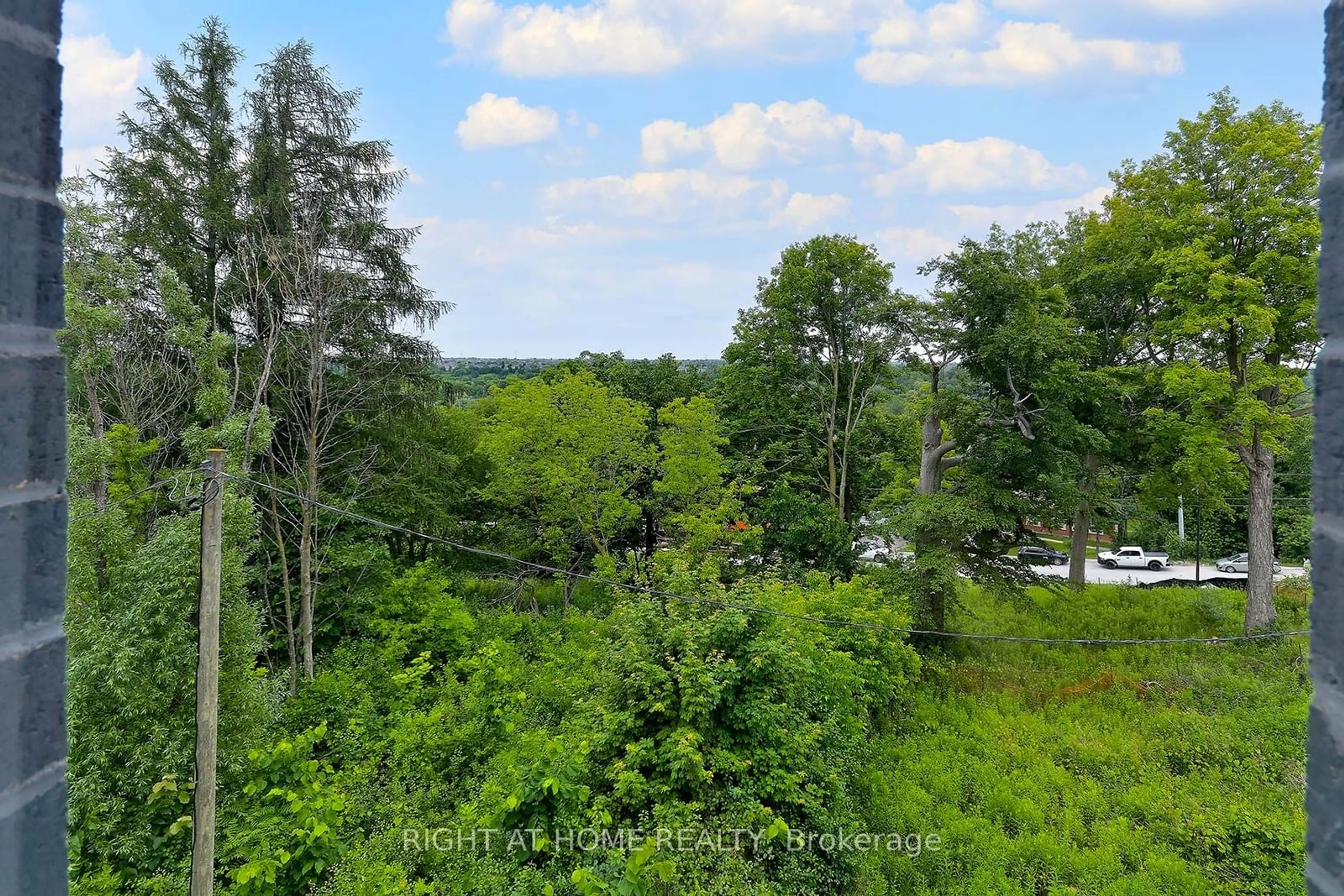 Forest view for 19 Paradox St, Vaughan Ontario L4H 5H1