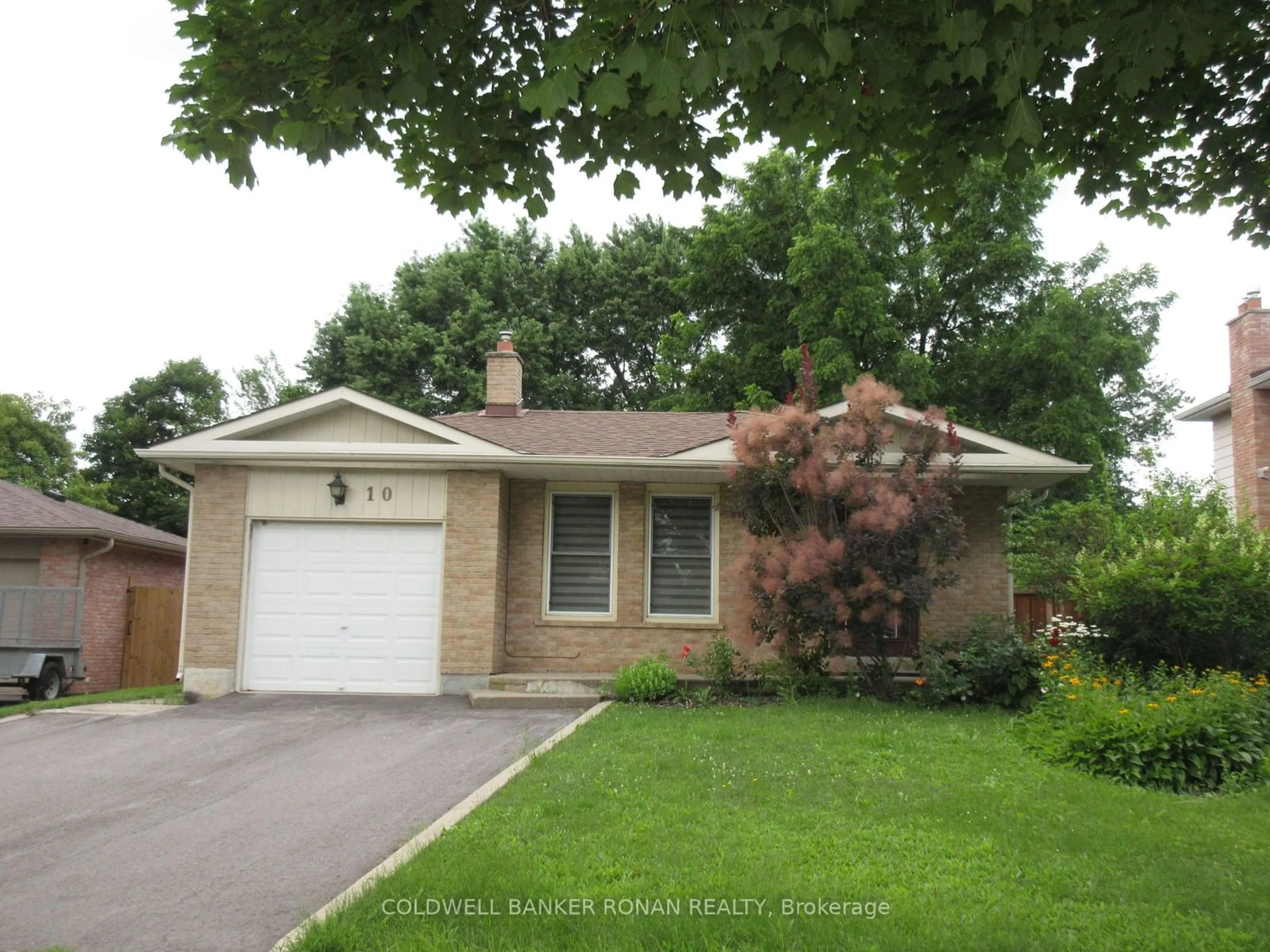 Frontside or backside of a home for 10 Bray St, New Tecumseth Ontario L0G 1A0
