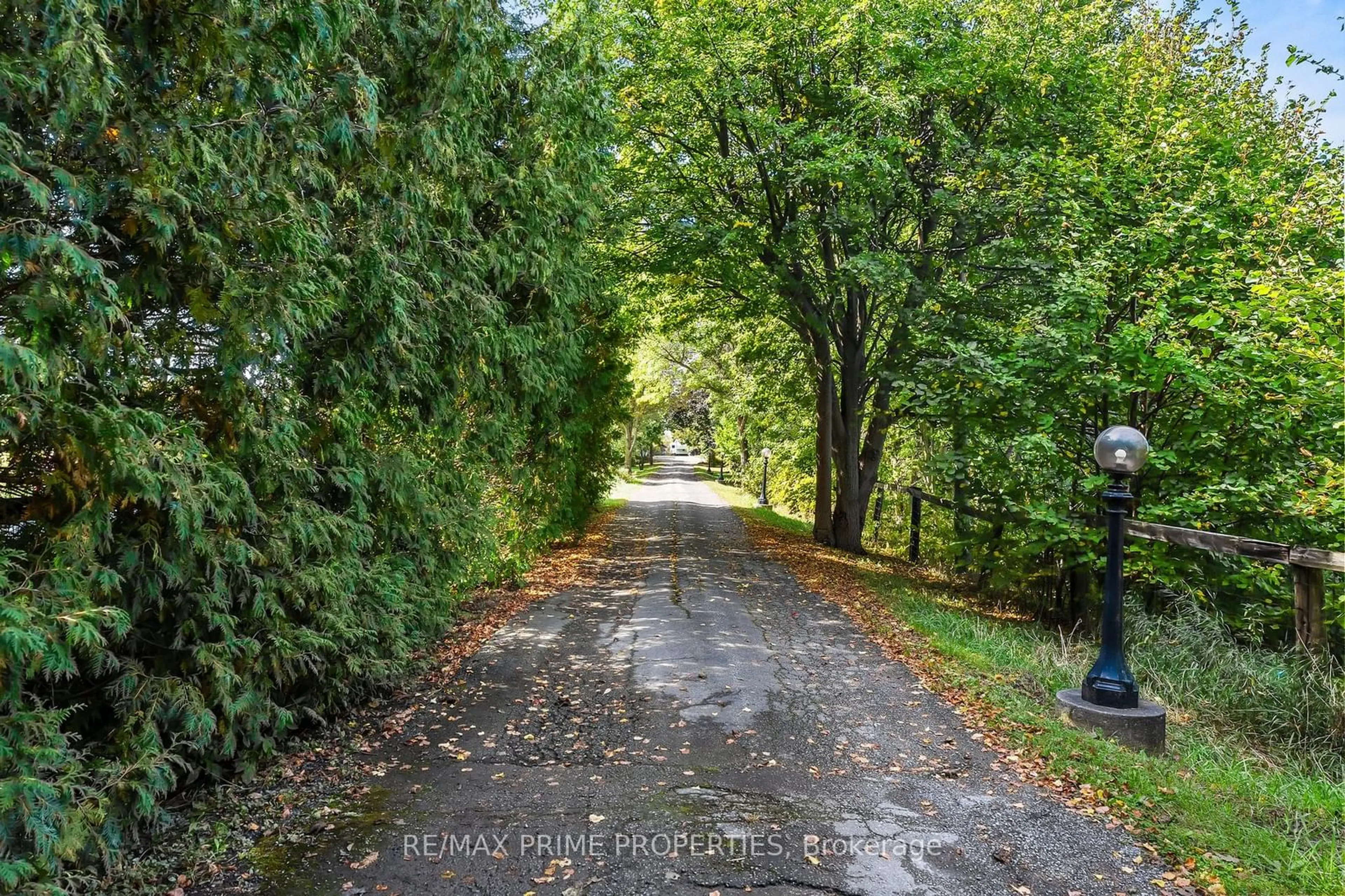 Patio, the street view for 21044 Leslie St, East Gwillimbury Ontario L0G 1R0