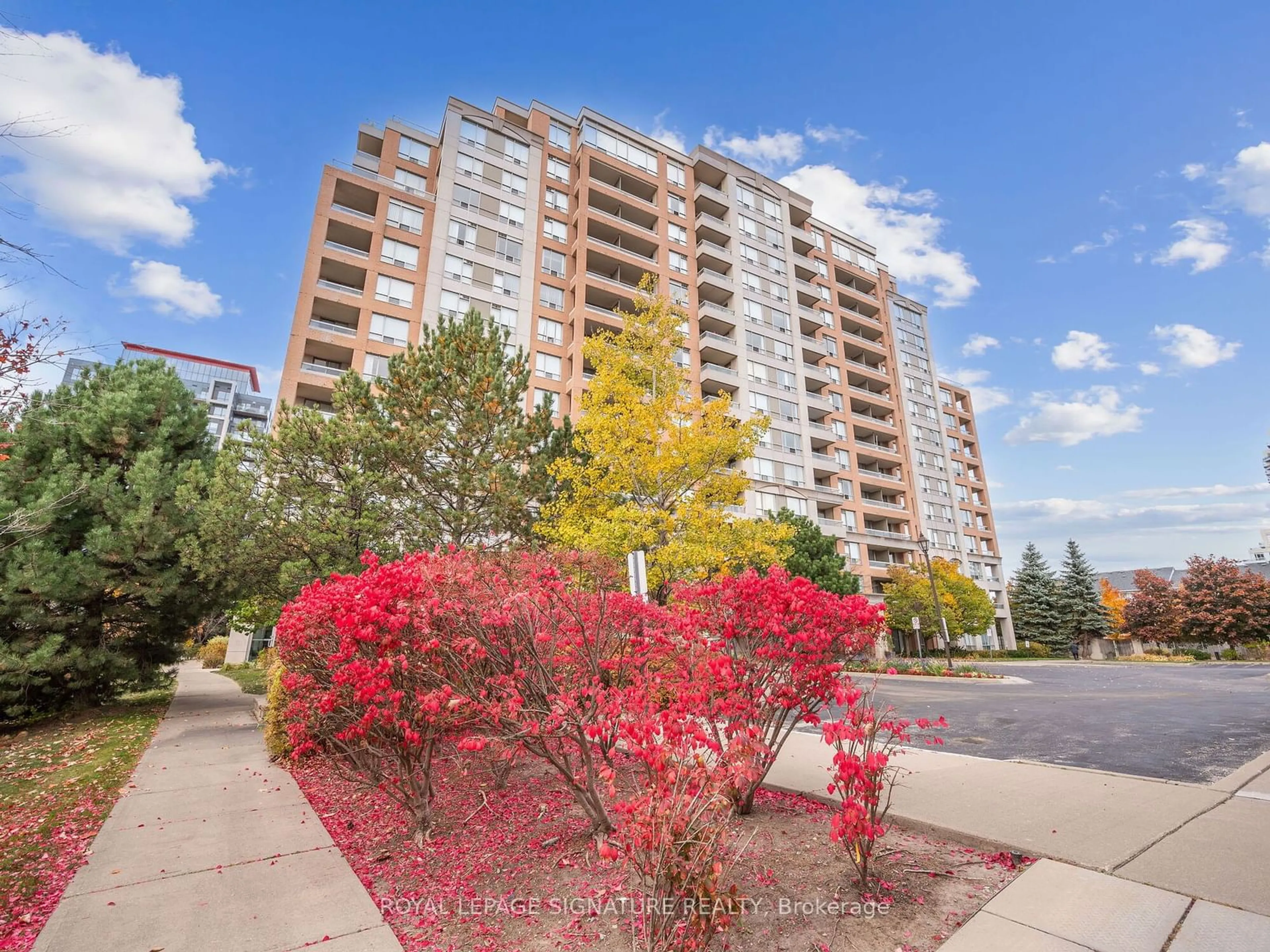 A pic from exterior of the house or condo, the street view for 9 Northern Hts Dr #502, Richmond Hill Ontario L4B 4M5