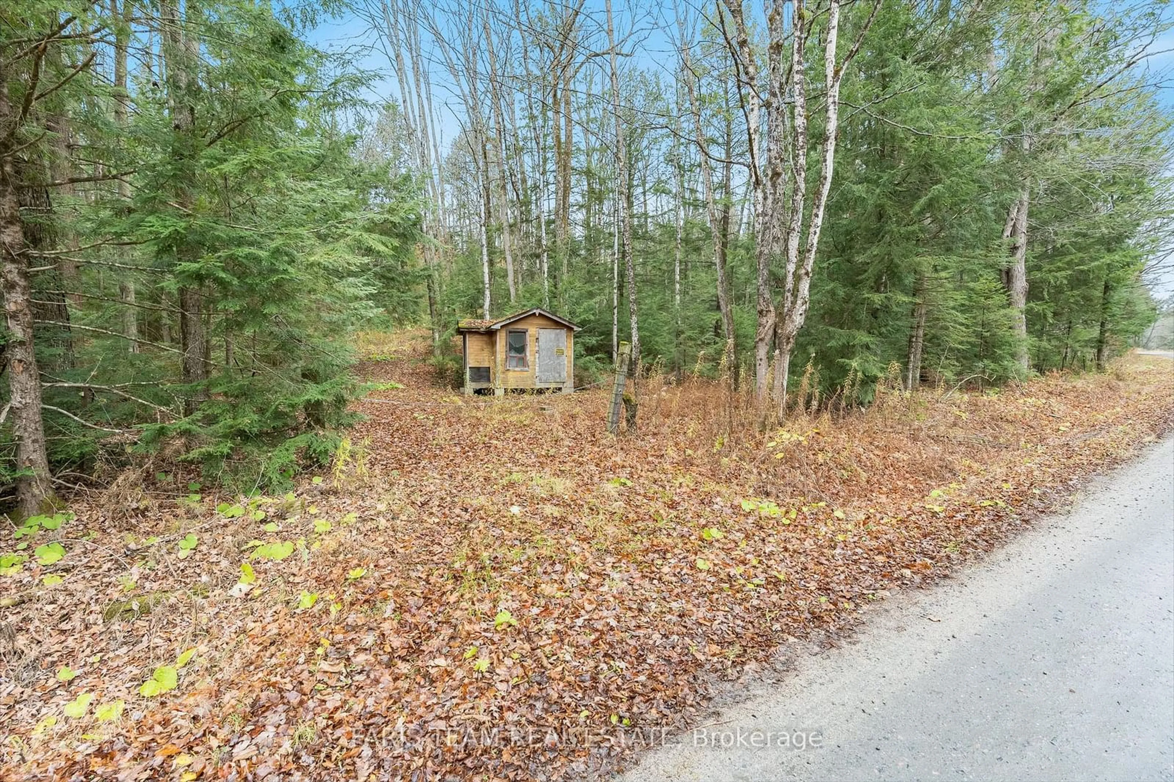 Shed for 7950 Kings River Rd, Ramara Ontario L0K 2B0