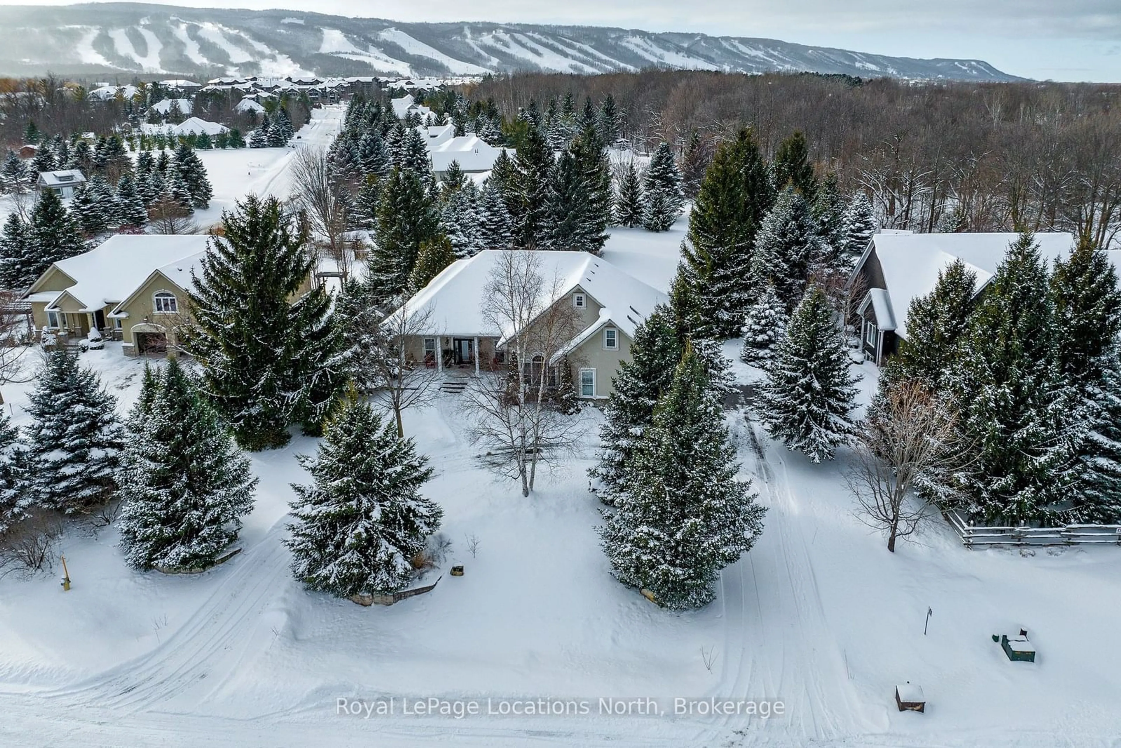 A pic from outside/outdoor area/front of a property/back of a property/a pic from drone, mountain view for 12 Evergreen Rd, Collingwood Ontario L9Y 5A8