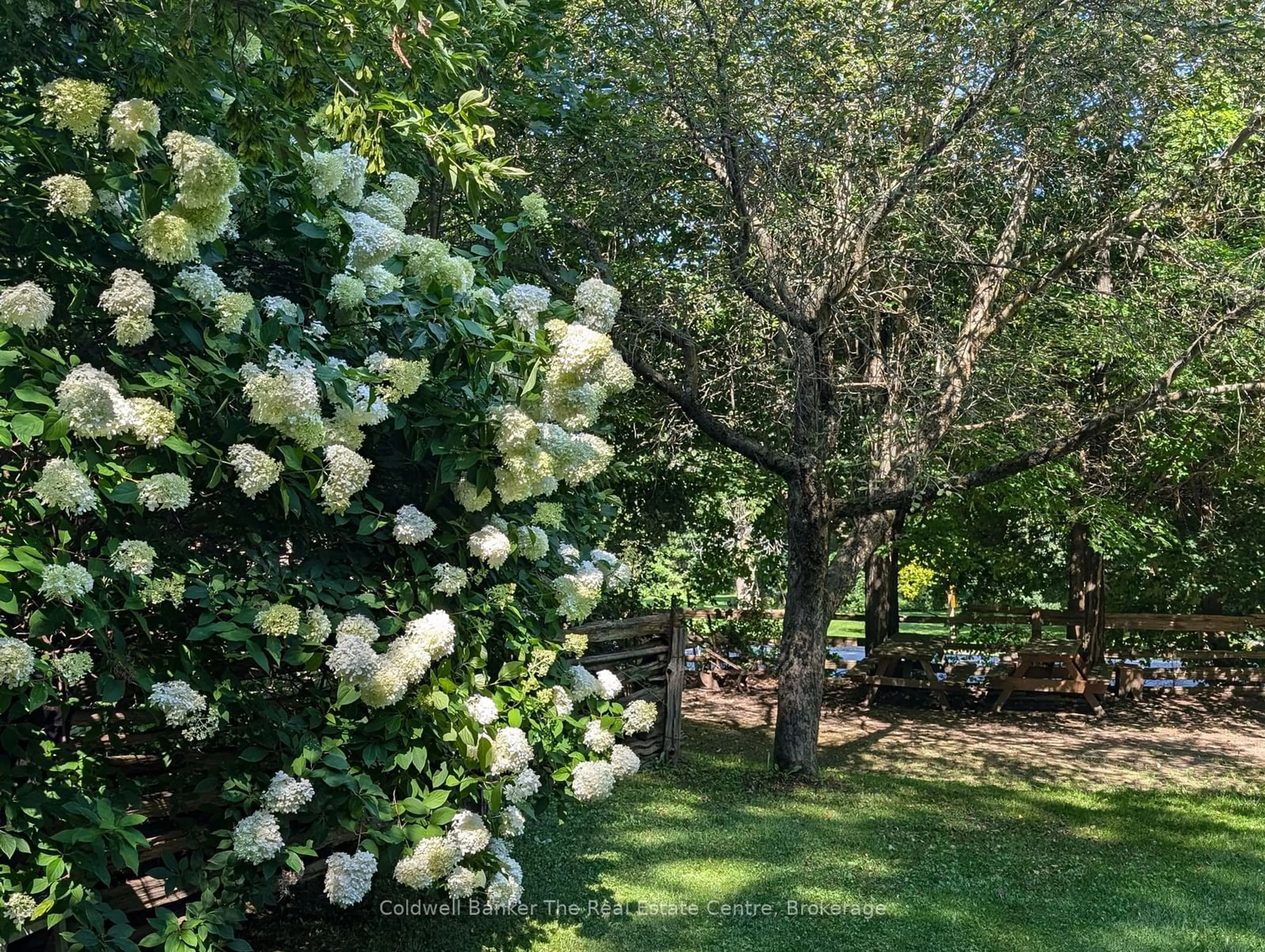 A pic from outside/outdoor area/front of a property/back of a property/a pic from drone, forest/trees view for 8934 County Rd 9 Rd, Clearview Ontario L0M 1G0