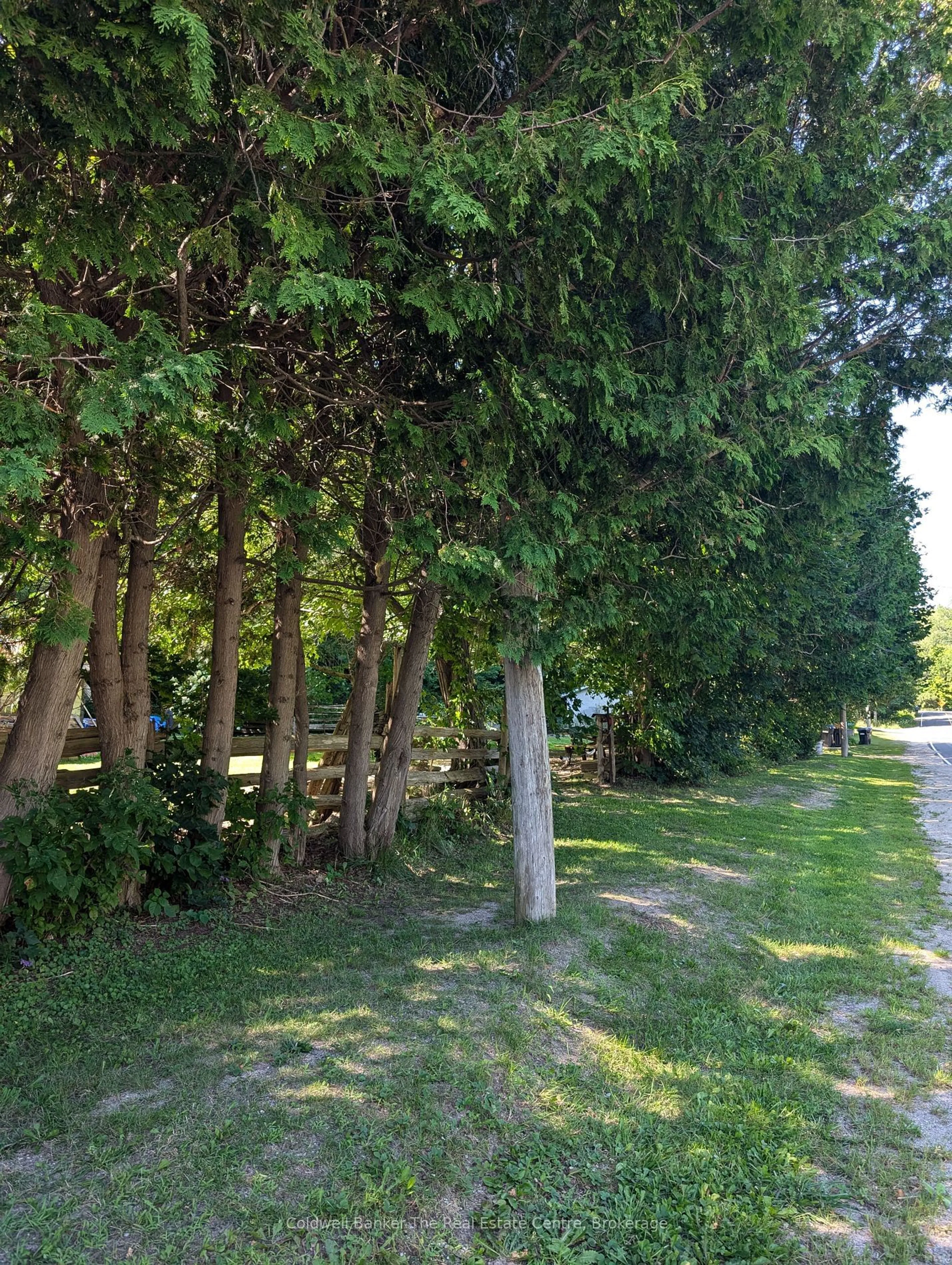 Patio, forest/trees view for 8934 County Rd 9 Rd, Clearview Ontario L0M 1G0