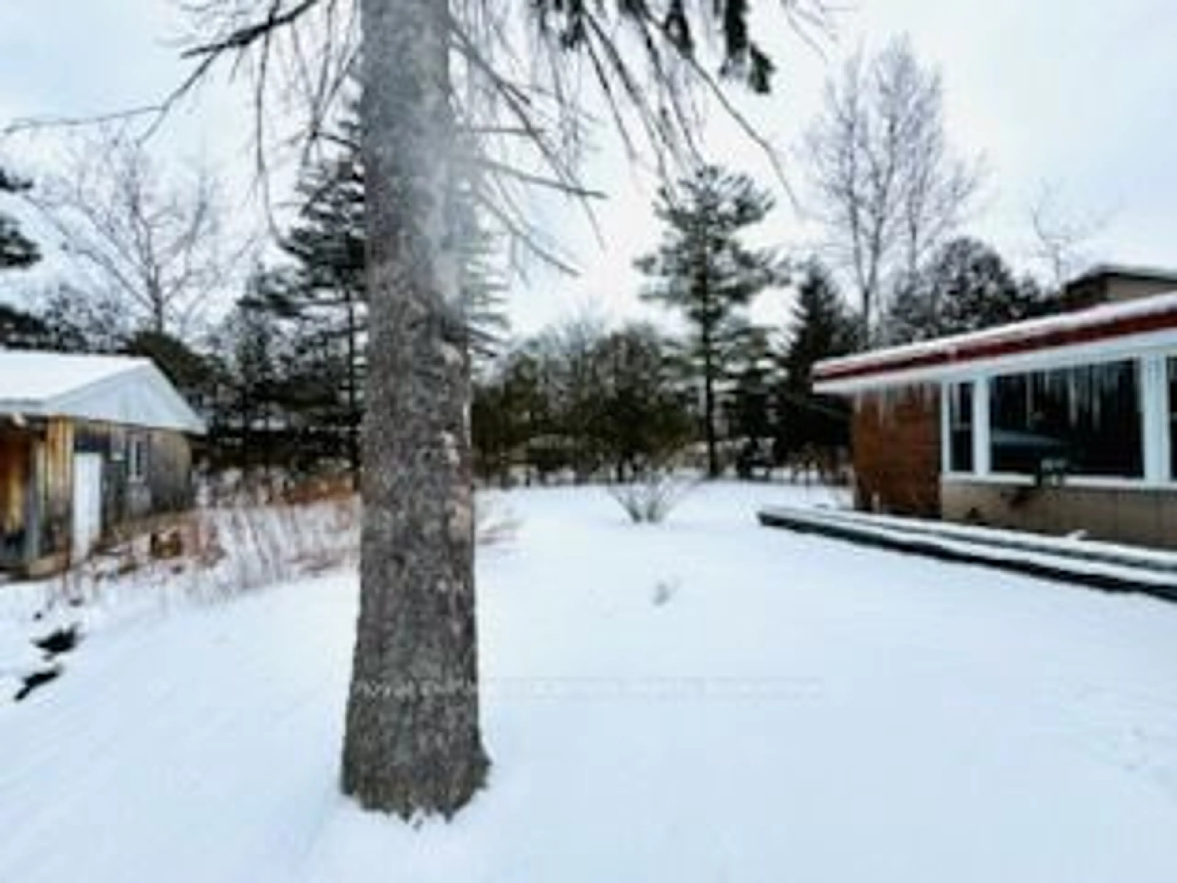 A pic from outside/outdoor area/front of a property/back of a property/a pic from drone, forest/trees view for 8717 Beachwood Rd, Wasaga Beach Ontario L9Z 2G5