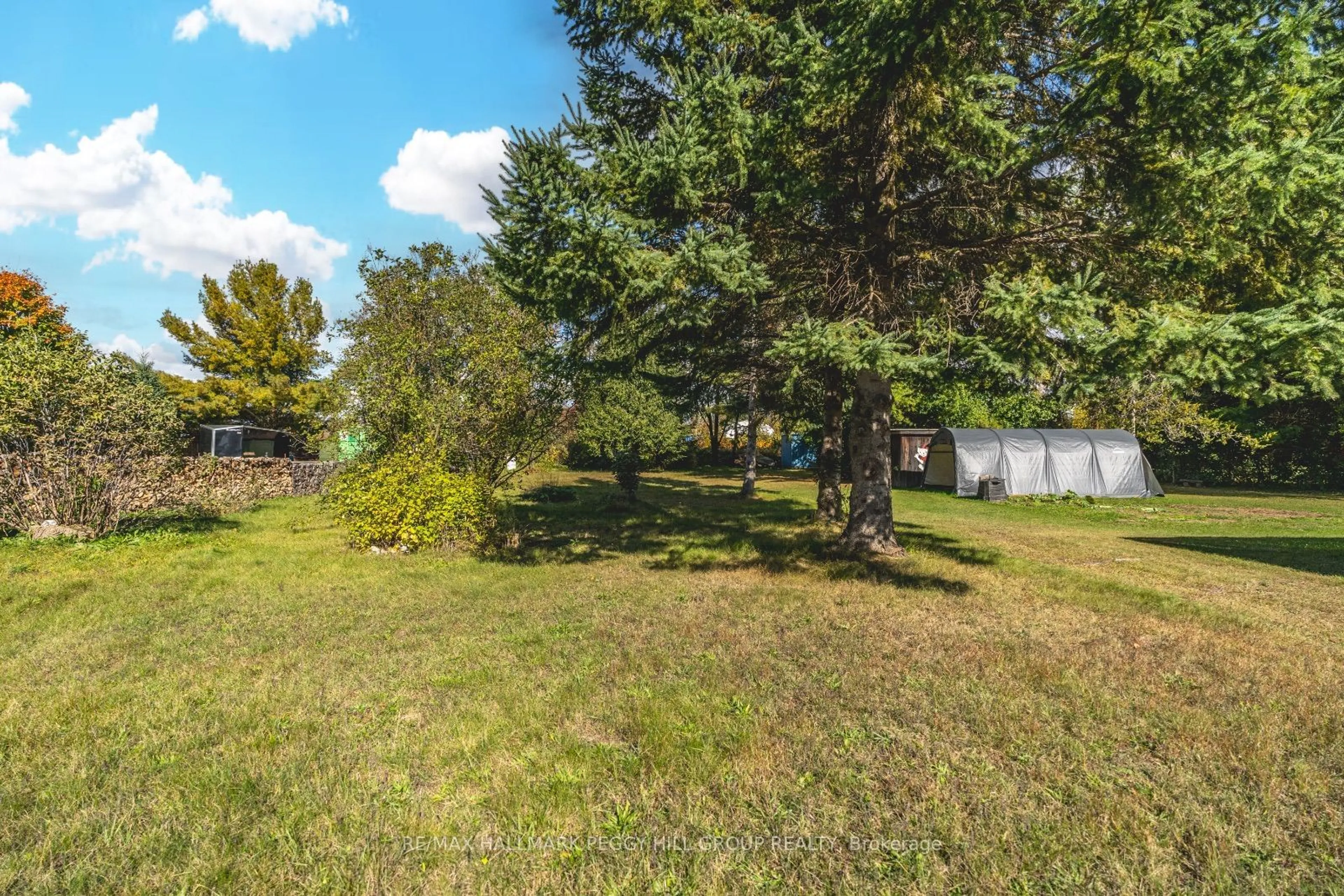 A pic from outside/outdoor area/front of a property/back of a property/a pic from drone, forest/trees view for 221 Phillips St, Barrie Ontario L4N 3V2