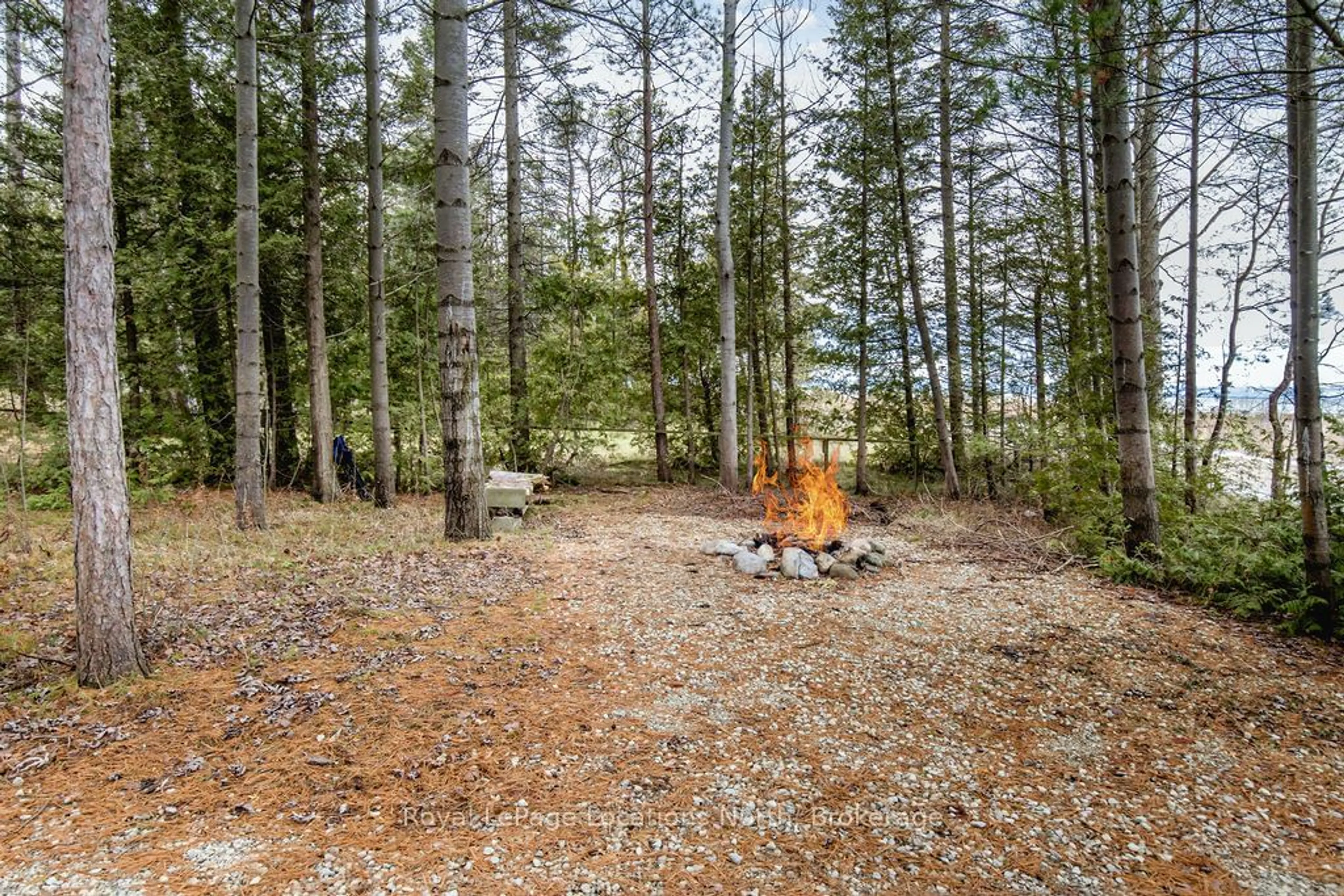 Patio, forest/trees view for 948 RIVER Rd, Wasaga Beach Ontario L0L 2P3