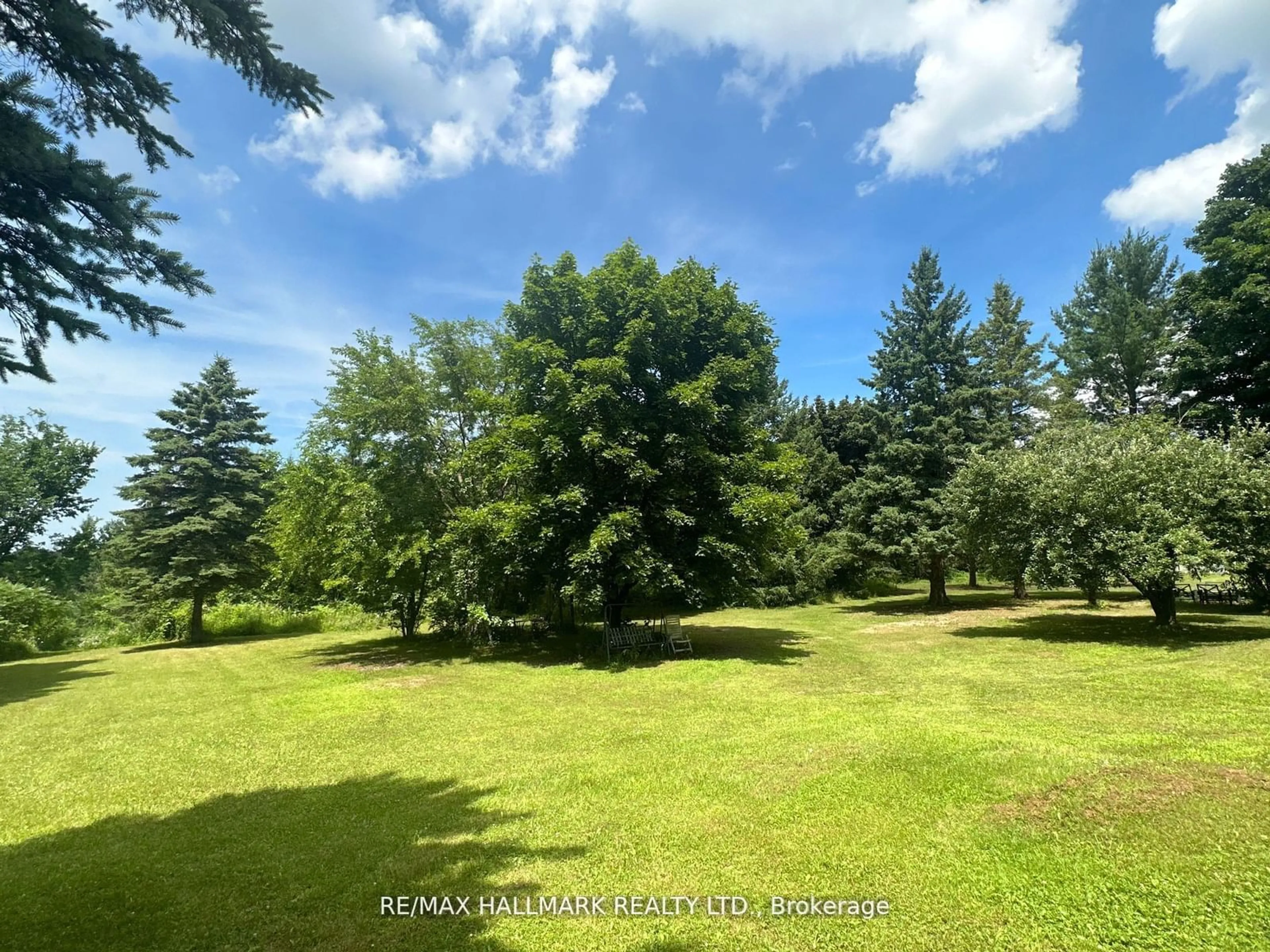 A pic from outside/outdoor area/front of a property/back of a property/a pic from drone, forest/trees view for 2422 Snow Valley Rd, Springwater Ontario L9X 1K1