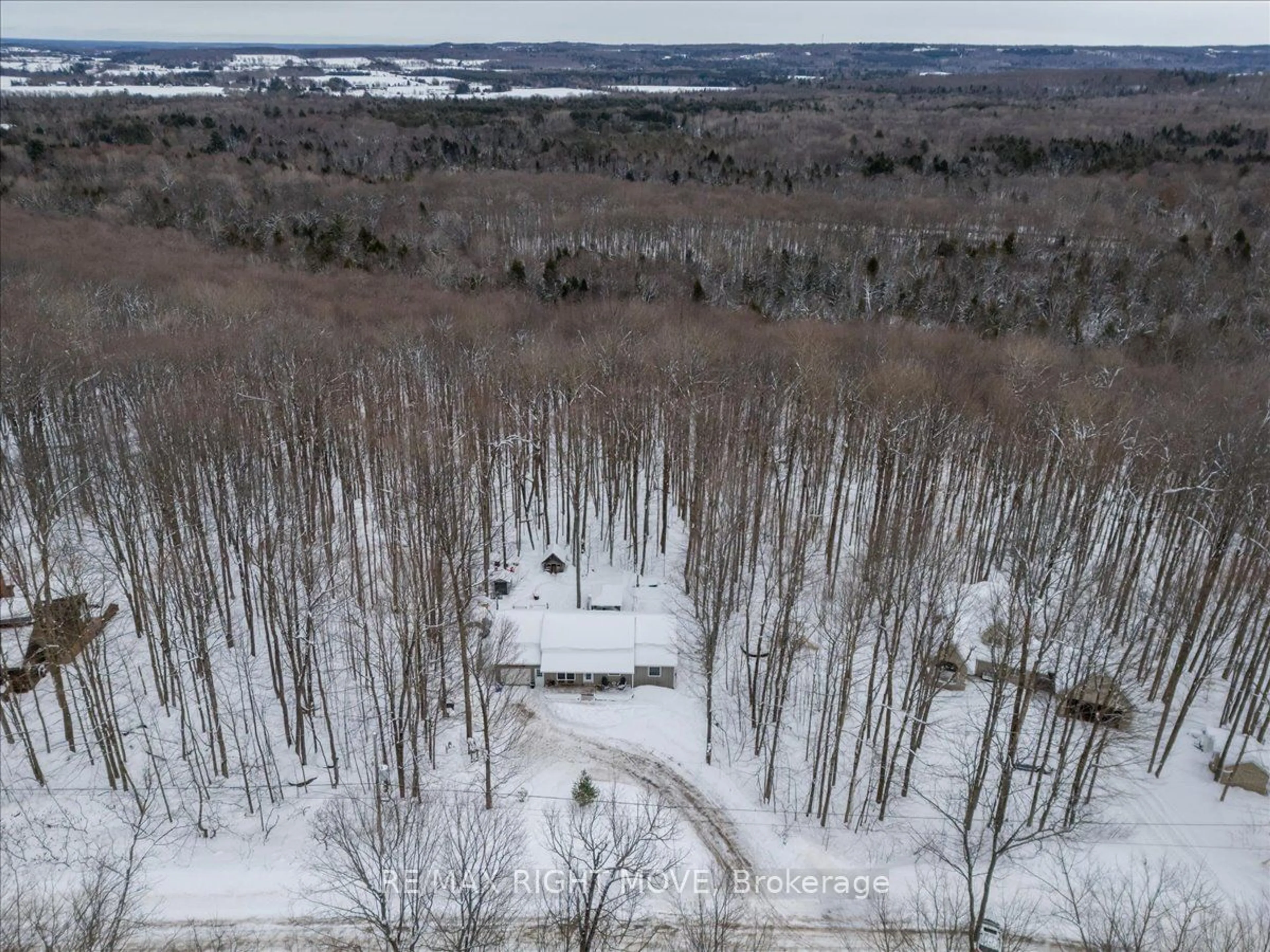 A pic from outside/outdoor area/front of a property/back of a property/a pic from drone, forest/trees view for 5 Snowshoe Tr, Oro-Medonte Ontario L0K 1N0