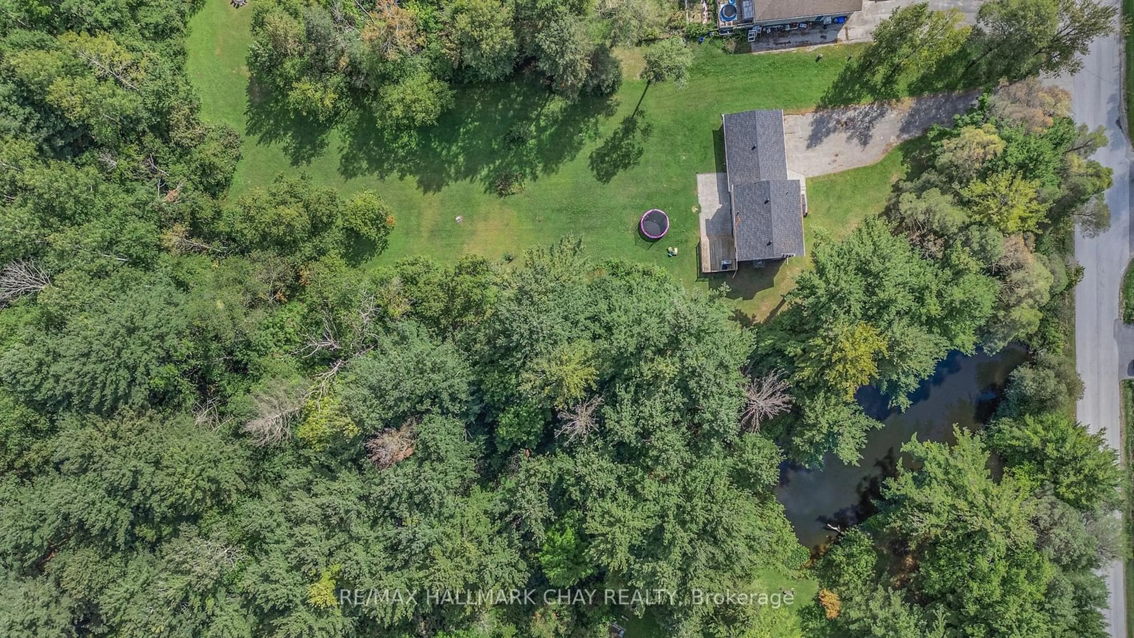 A pic from outside/outdoor area/front of a property/back of a property/a pic from drone, forest/trees view for 23 Lamers Rd, Clearview Ontario L0M 1N0