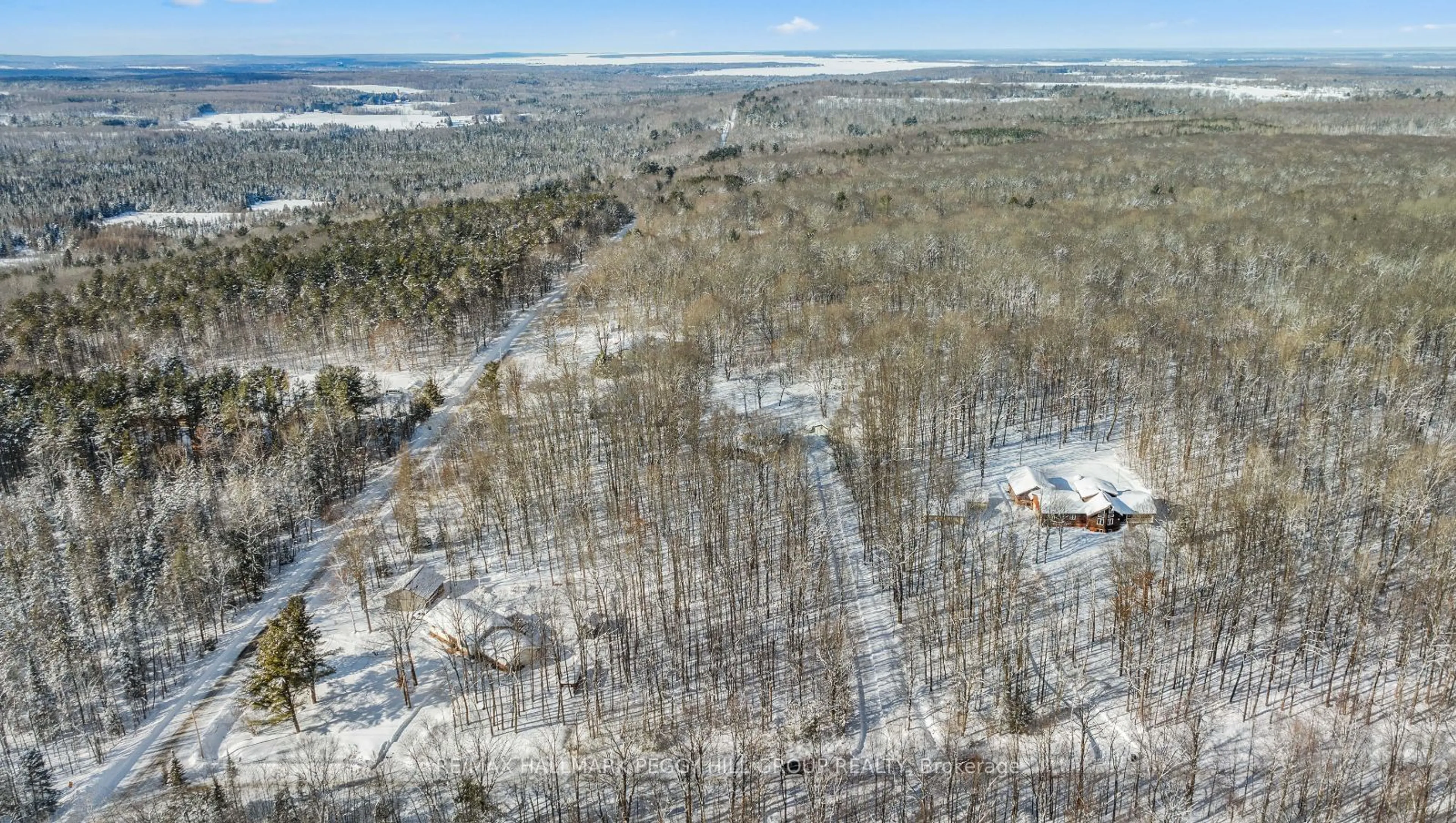 A pic from outside/outdoor area/front of a property/back of a property/a pic from drone, forest/trees view for 274 Peter St, Oro-Medonte Ontario L0K 2C0