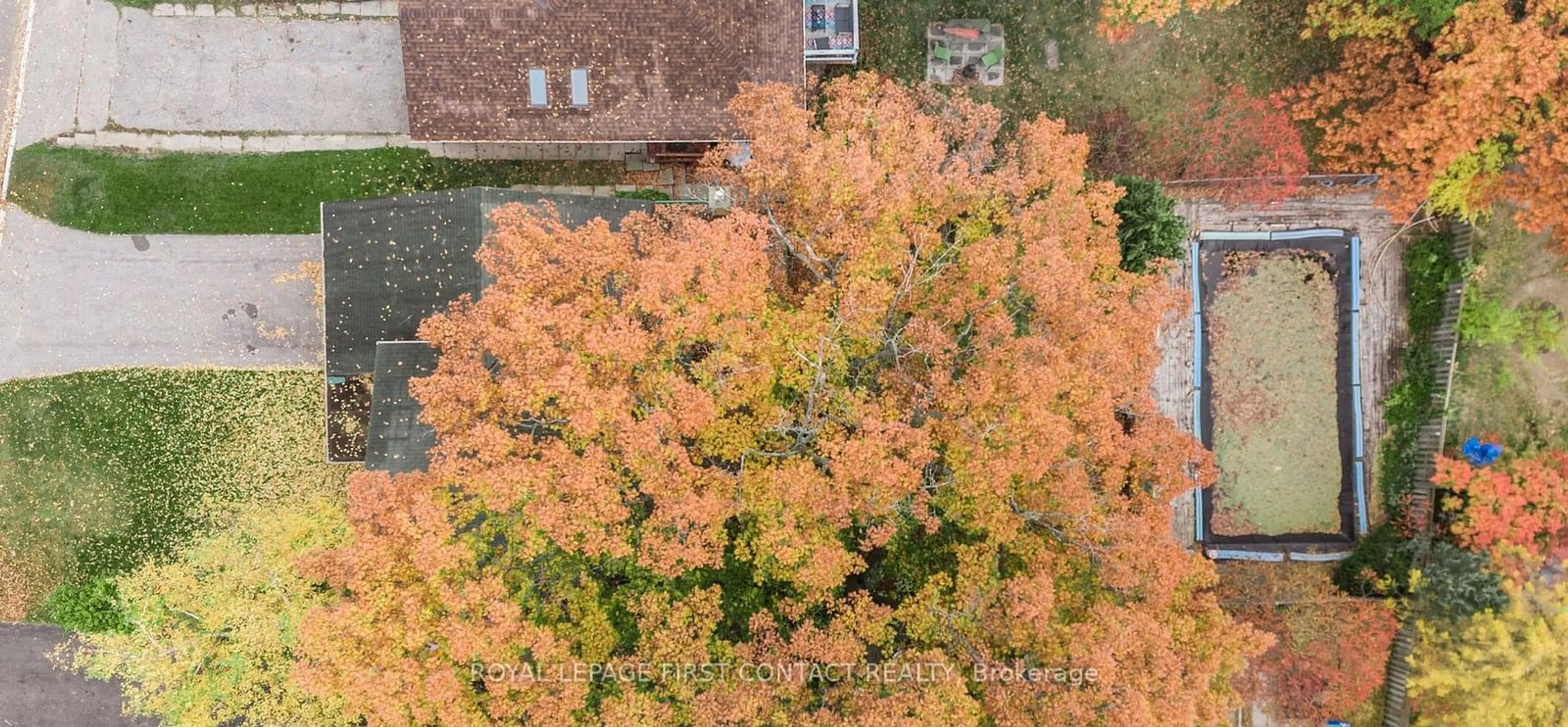 A pic from outside/outdoor area/front of a property/back of a property/a pic from drone, street for 163 Letitia St, Barrie Ontario L4N 1P4