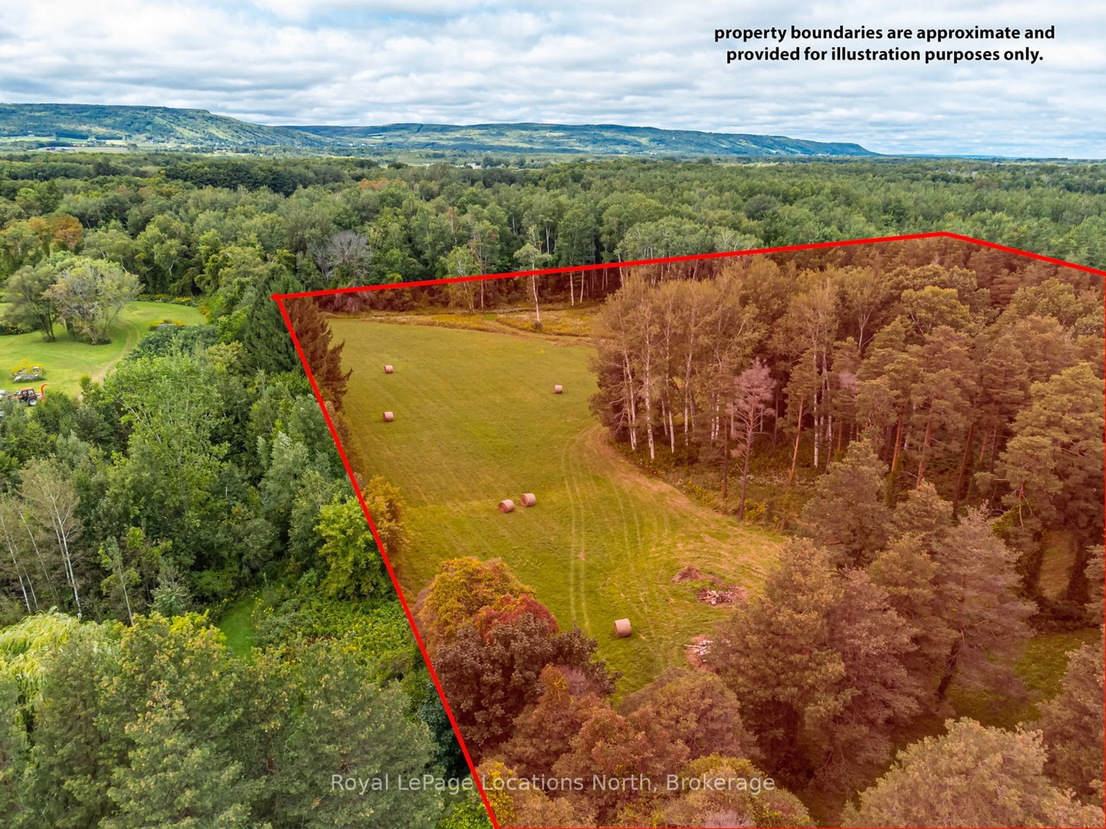 A pic from outside/outdoor area/front of a property/back of a property/a pic from drone, forest/trees view for 4378 County 124 Rd, Clearview Ontario L9Y 3Z1