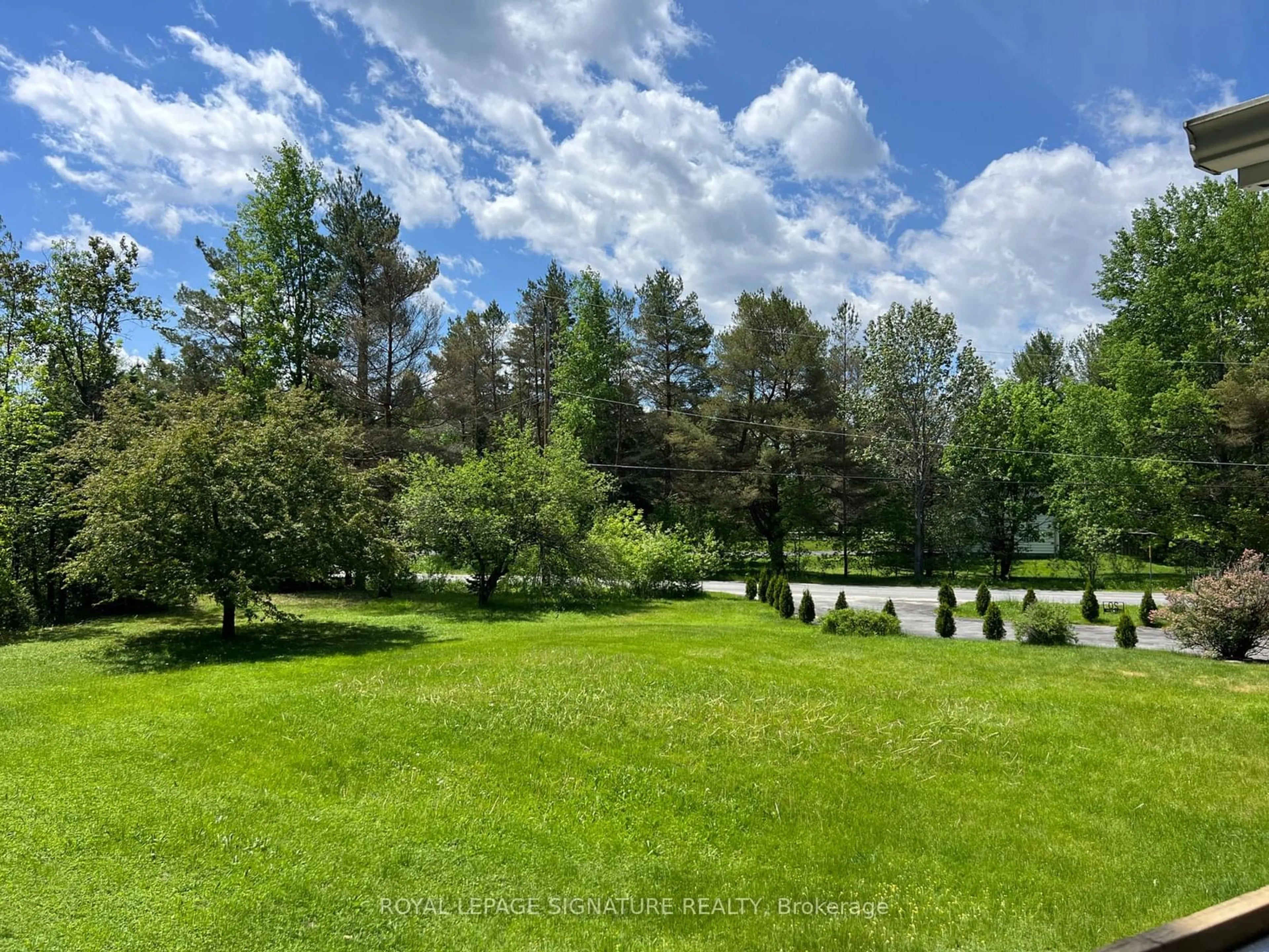 A pic from outside/outdoor area/front of a property/back of a property/a pic from drone, forest/trees view for 20 HILLVIEW Cres, Springwater Ontario L0L 1X0