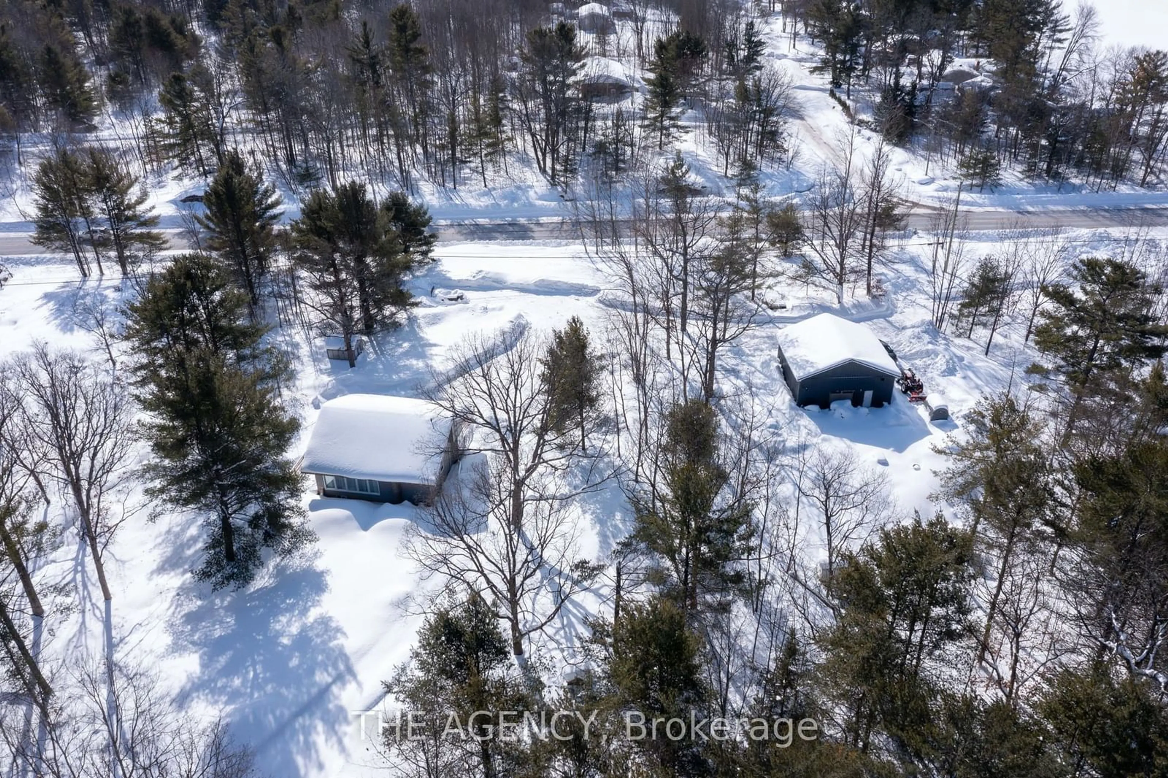 A pic from outside/outdoor area/front of a property/back of a property/a pic from drone, forest/trees view for 8025 County Road 169 Rd, Ramara Ontario L0K 2B0