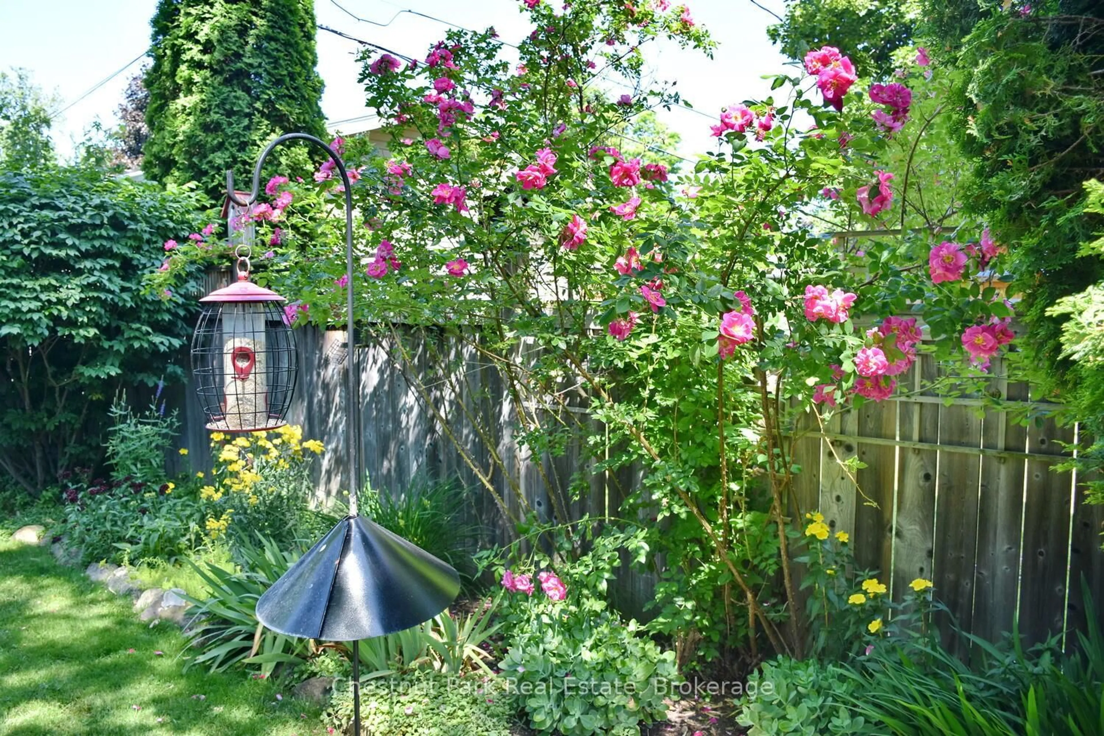 Patio, street for 24 Ferguson Rd, Collingwood Ontario L9Y 3A1