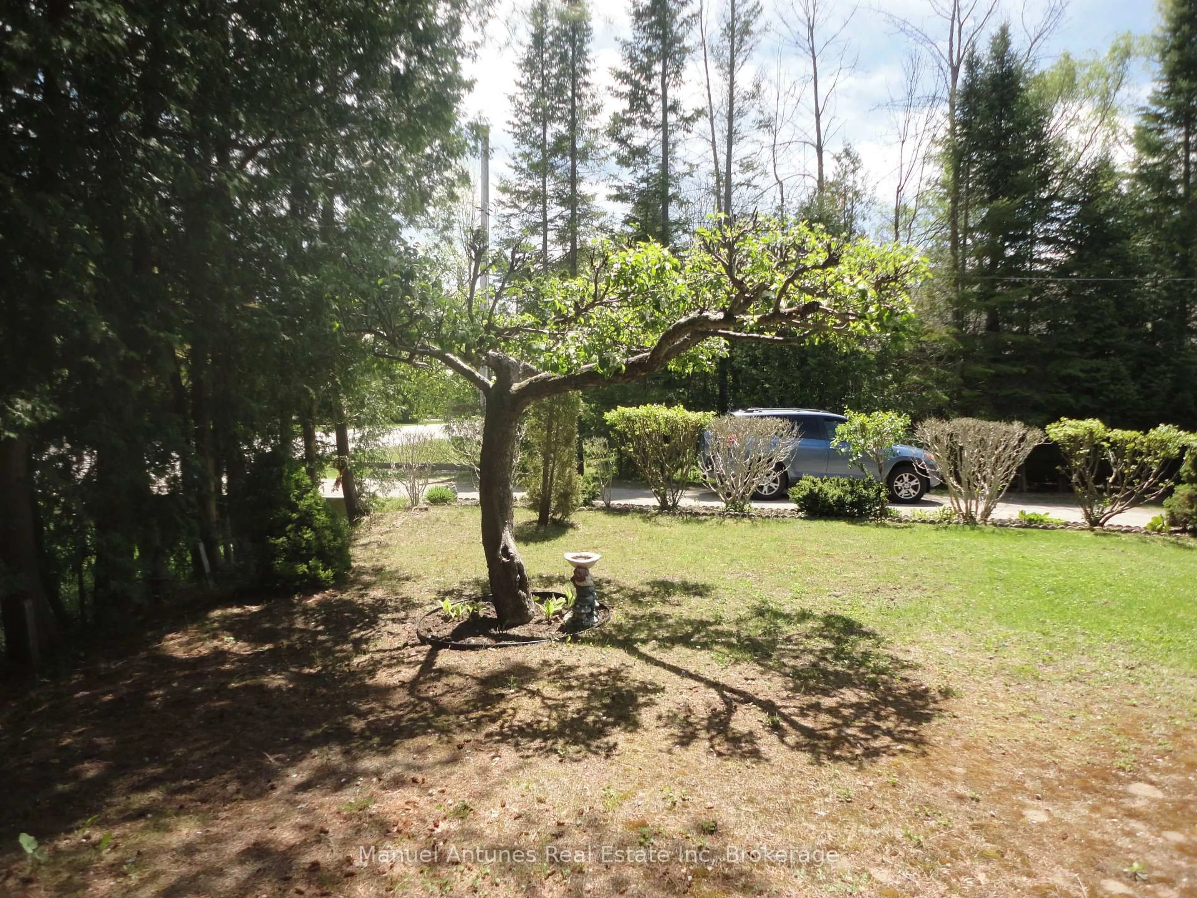 A pic from outside/outdoor area/front of a property/back of a property/a pic from drone, forest/trees view for 34 42nd St, Wasaga Beach Ontario L9Z 1Z7