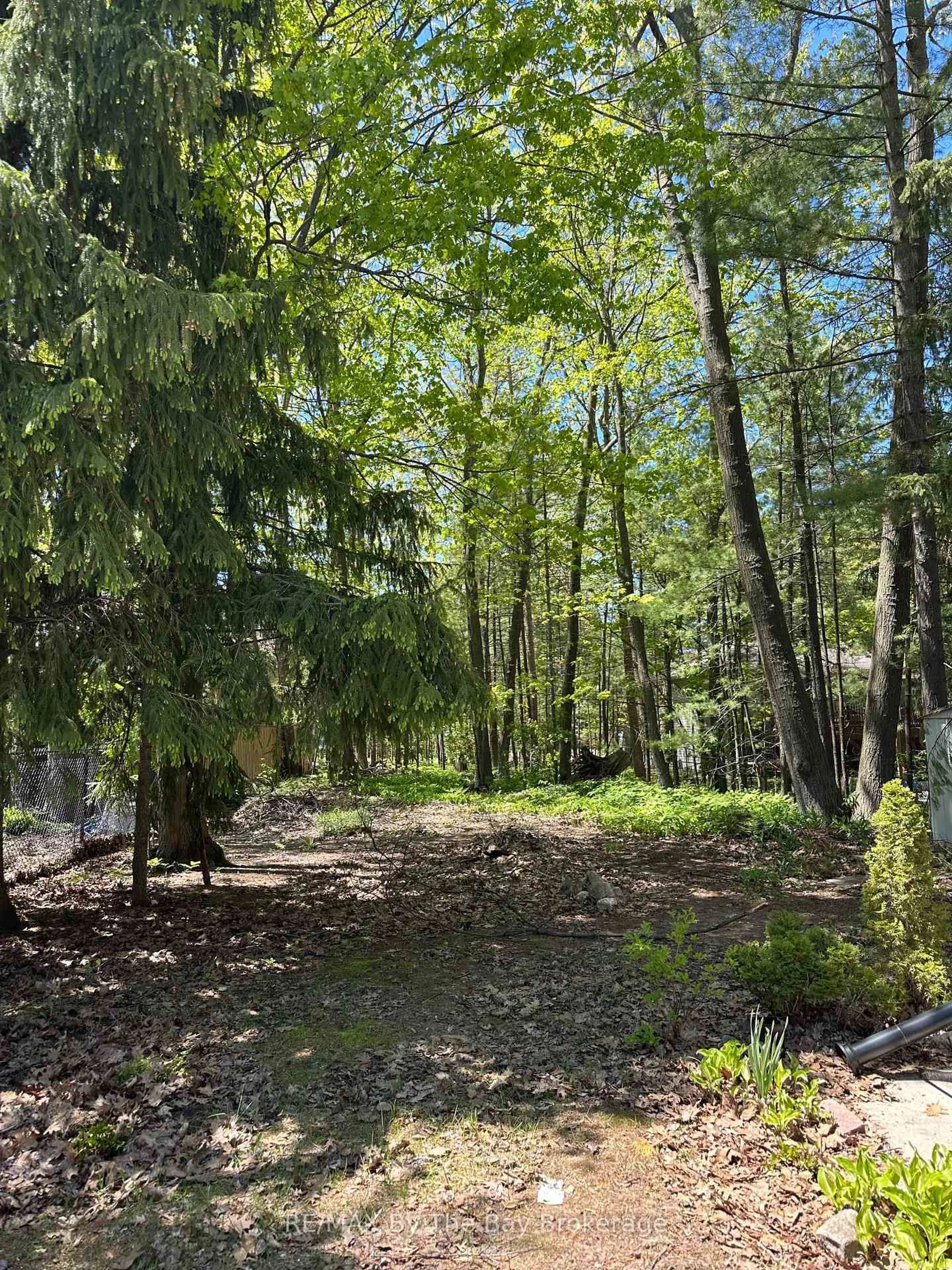 A pic from outside/outdoor area/front of a property/back of a property/a pic from drone, forest/trees view for 134 Sunnidale Rd, Wasaga Beach Ontario L9Z 2S8