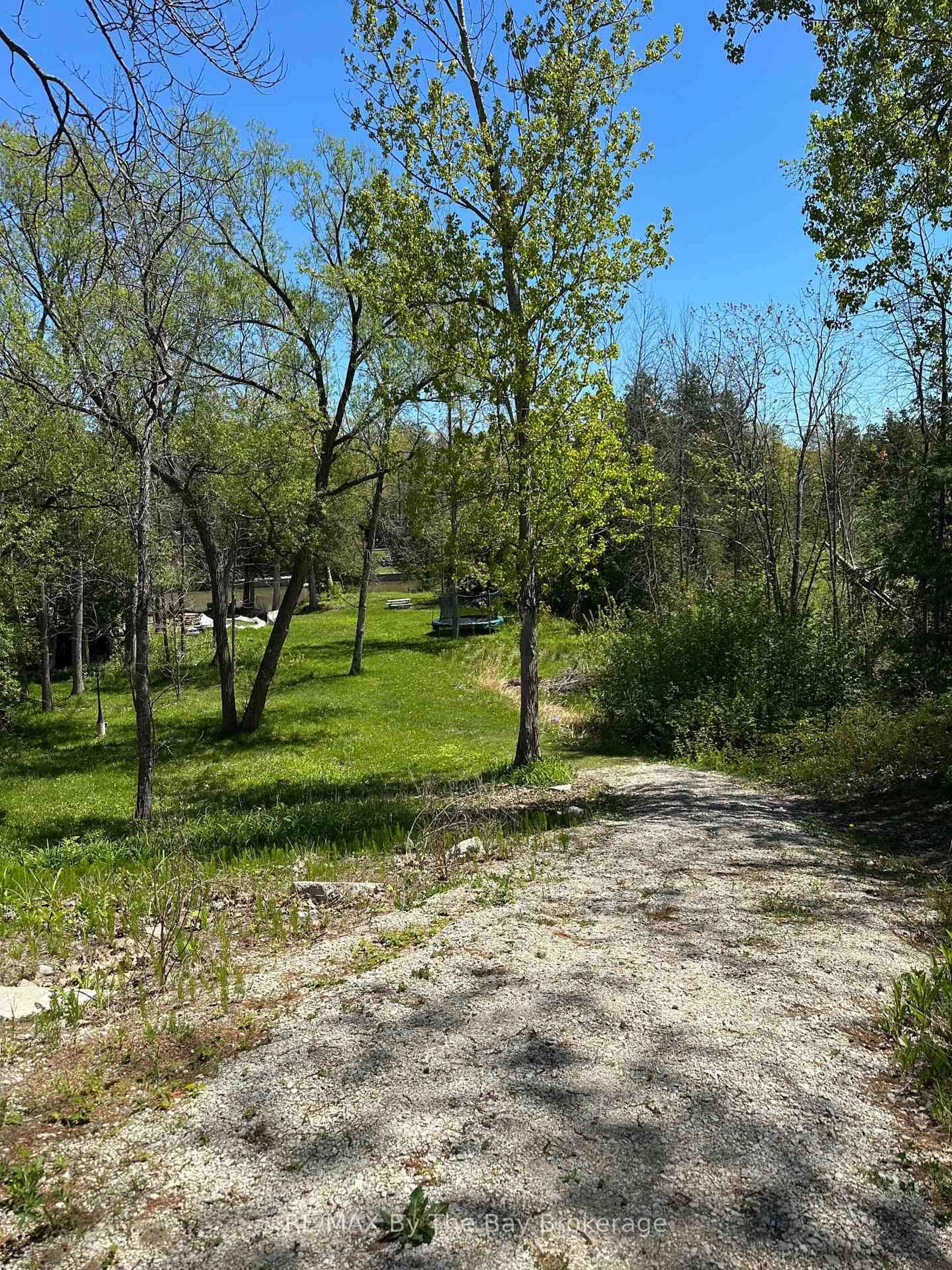 A pic from outside/outdoor area/front of a property/back of a property/a pic from drone, forest/trees view for 159 Sunnidale Rd, Wasaga Beach Ontario L9Z 2S9