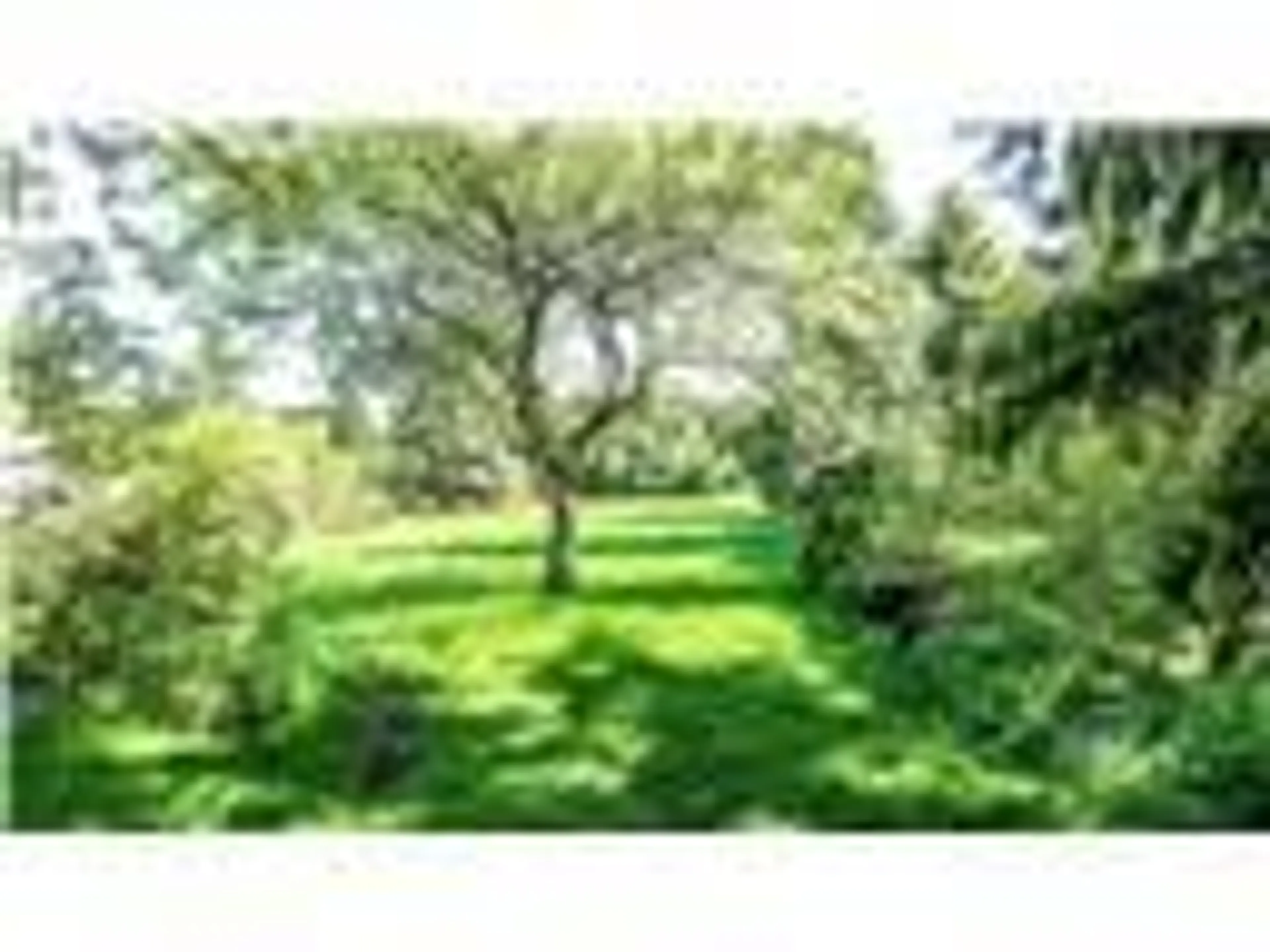 Blurry image for 209 Dodson Rd, Barrie Ontario L4N 4K2