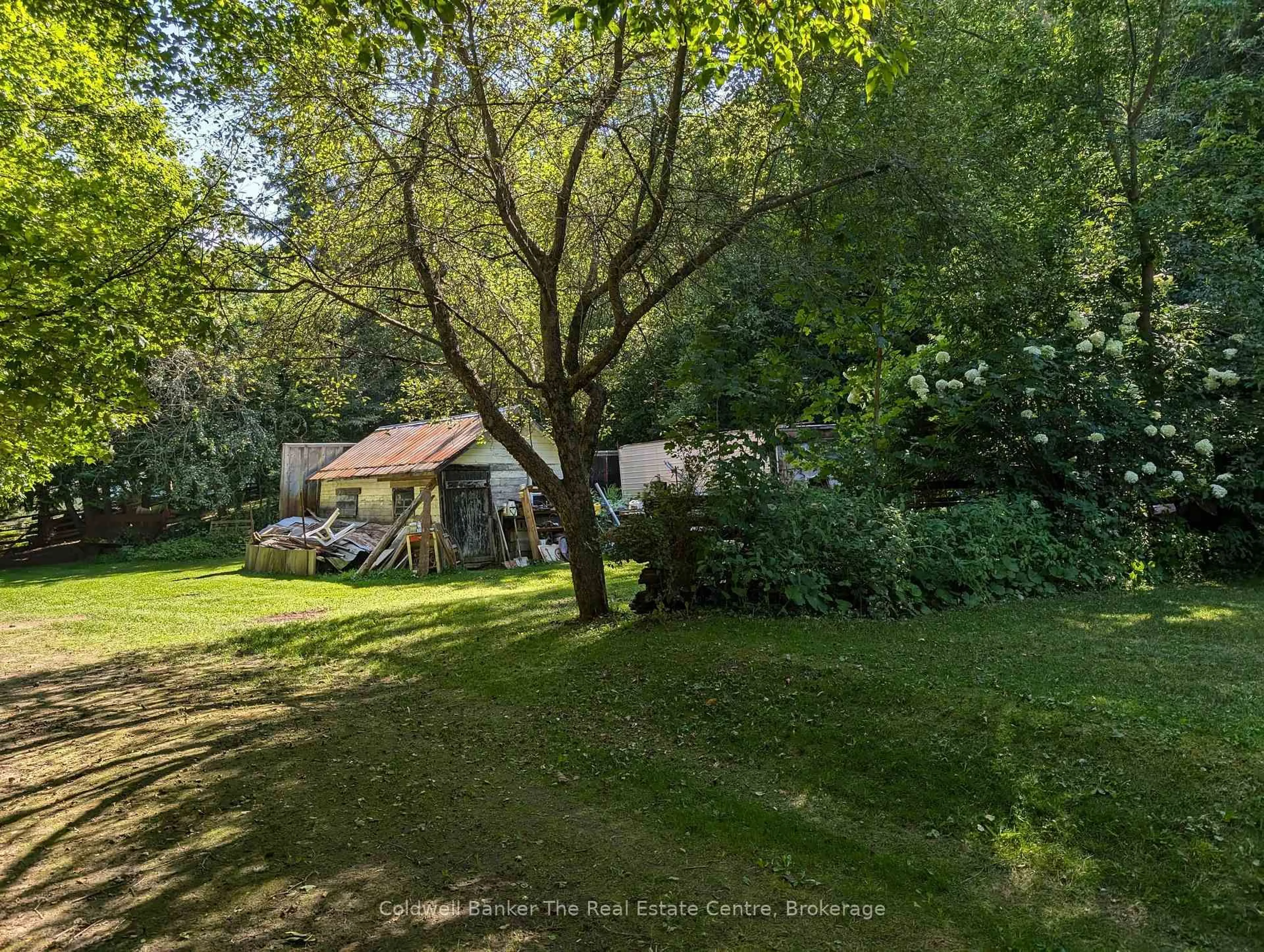 A pic from outside/outdoor area/front of a property/back of a property/a pic from drone, forest/trees view for 8934 County Rd 9 Rd, Clearview Ontario L0M 1G0