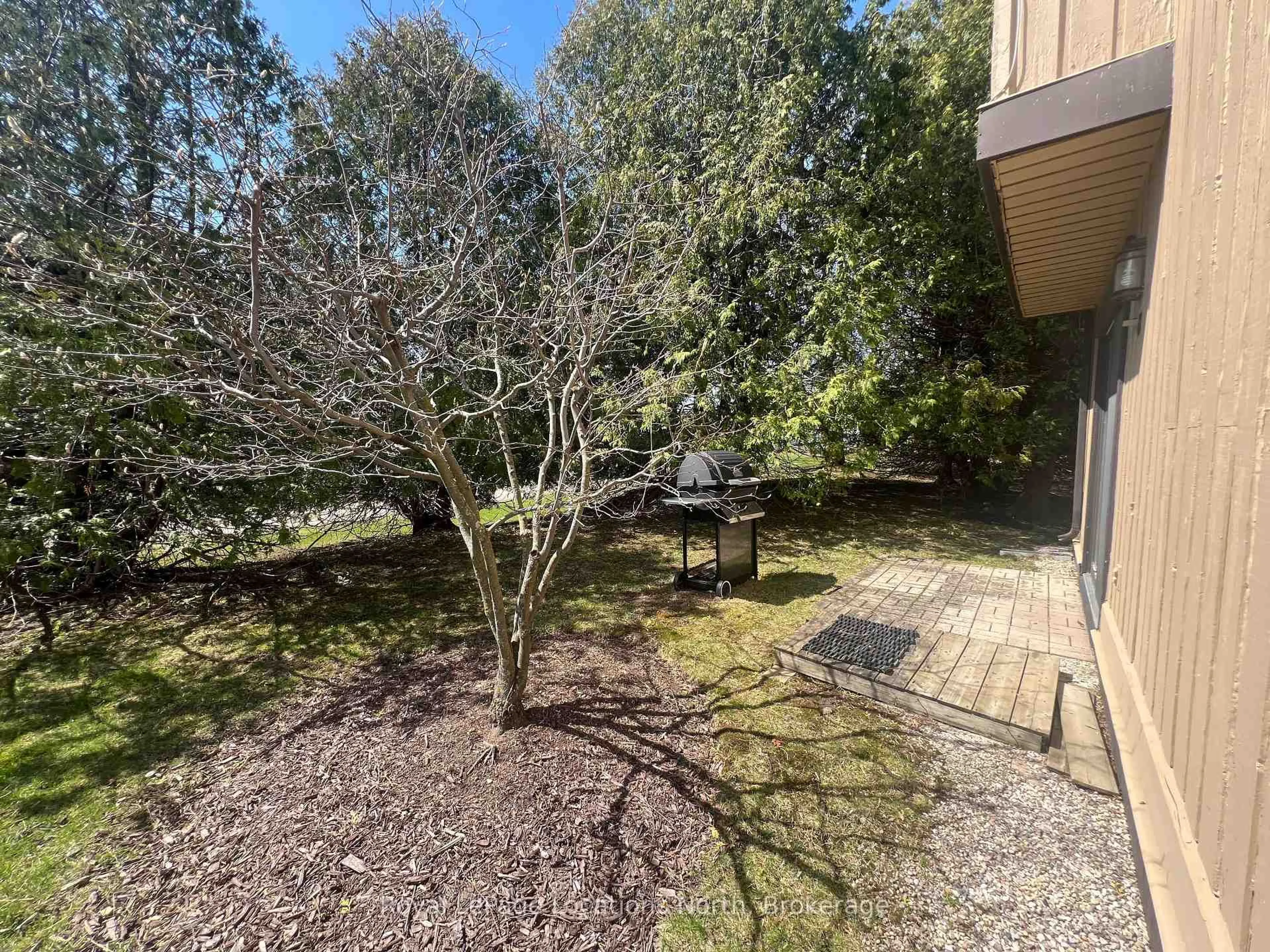 A pic from outside/outdoor area/front of a property/back of a property/a pic from drone, forest/trees view for 147 Escarpment Cres, Collingwood Ontario L9Y 5B4