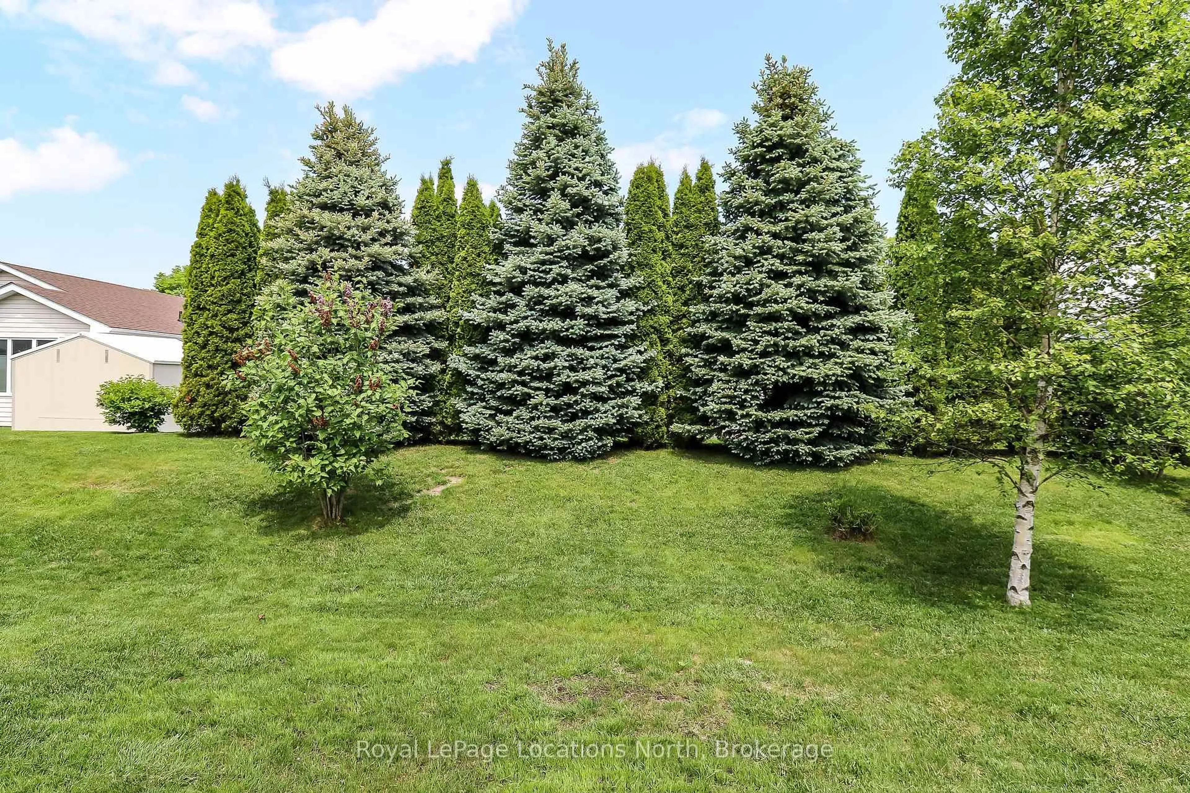 A pic from outside/outdoor area/front of a property/back of a property/a pic from drone, forest/trees view for 7 Kentucky Ave, Wasaga Beach Ontario L9Z 3A8