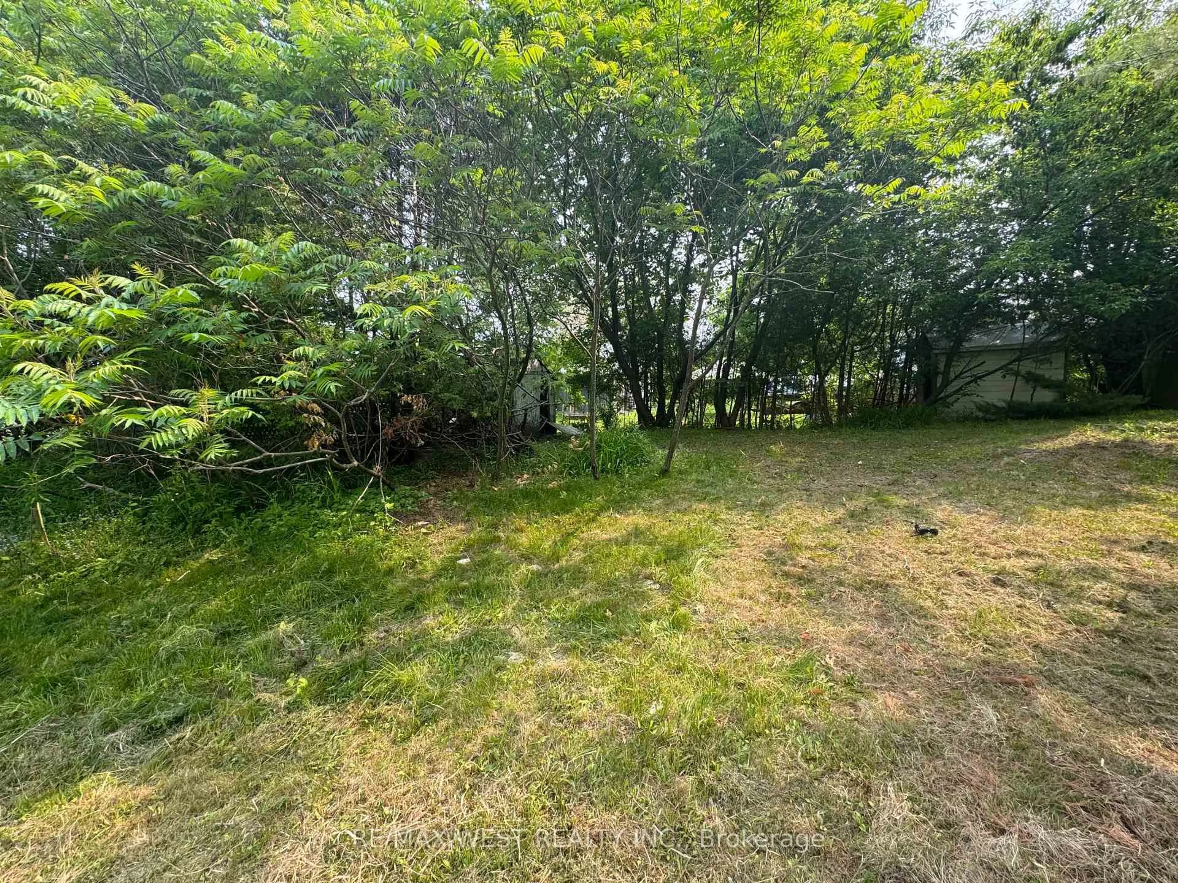 A pic from outside/outdoor area/front of a property/back of a property/a pic from drone, forest/trees view for 250 Kingfisher Ave, Tay Ontario L0K 1R0