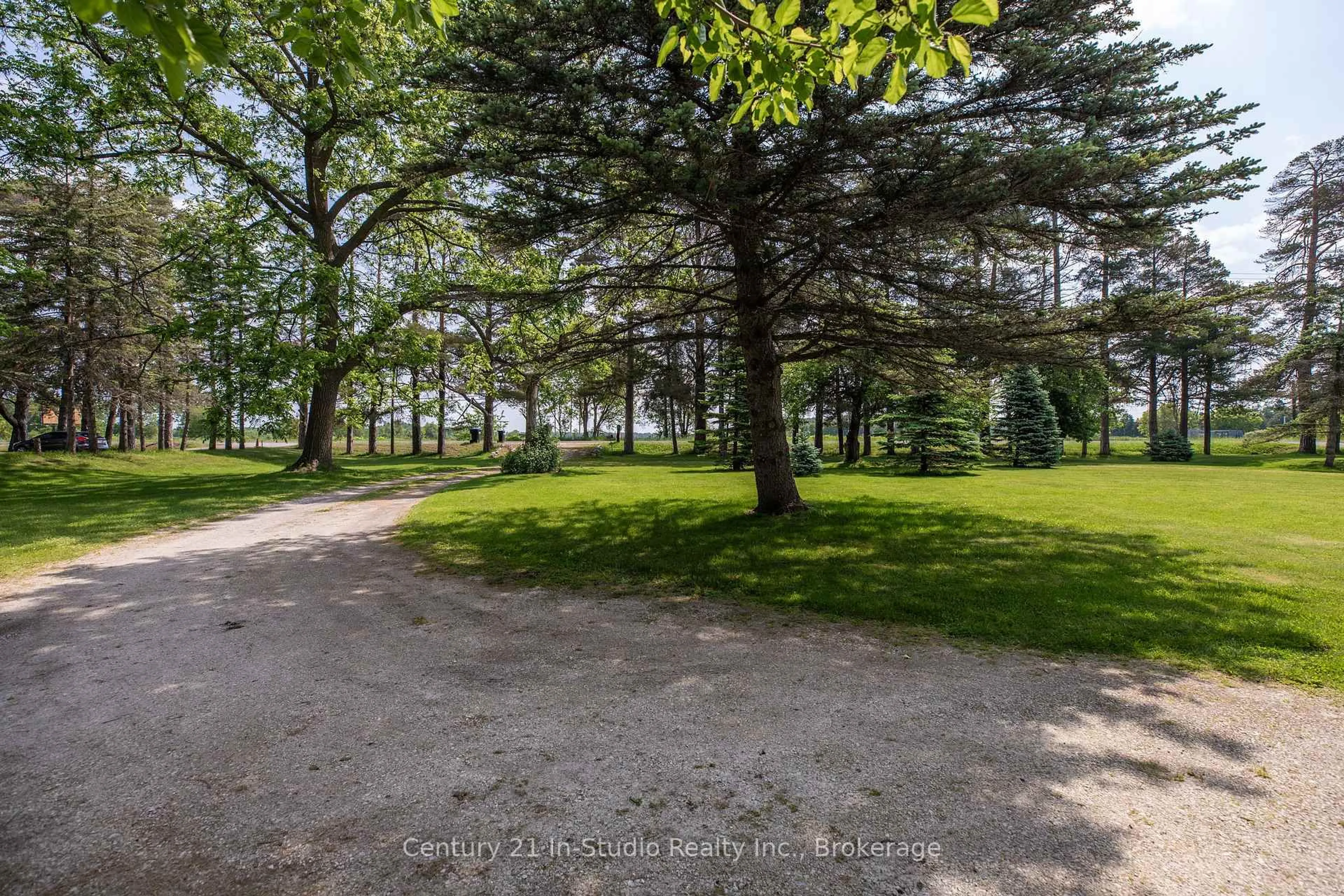 Patio, forest/trees view for 3926 County Road 124 Rd, Clearview Ontario L0M 1P0