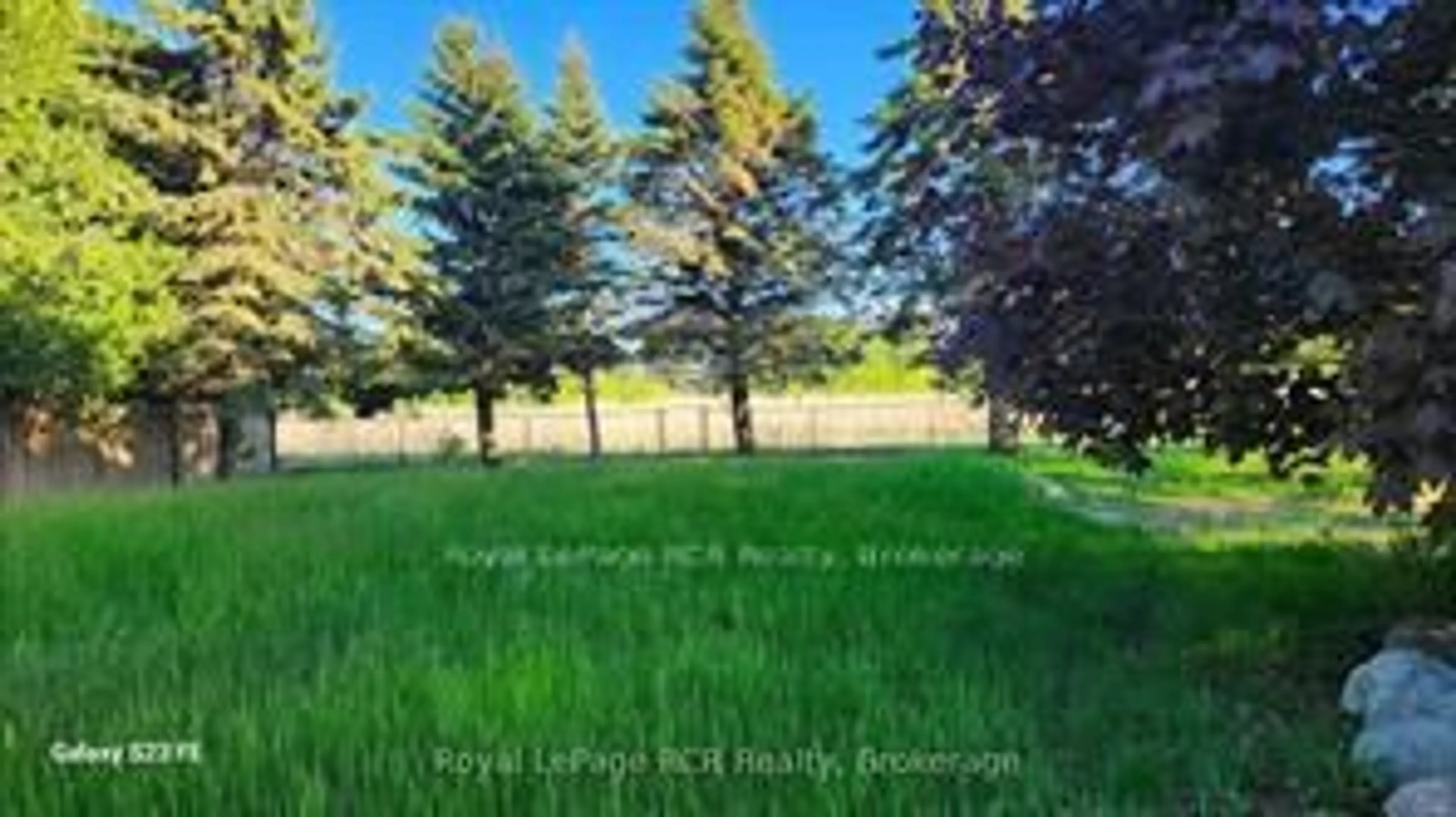 A pic from outside/outdoor area/front of a property/back of a property/a pic from drone, forest/trees view for 11 Blackburn Ave, Clearview Ontario L0M 1P0