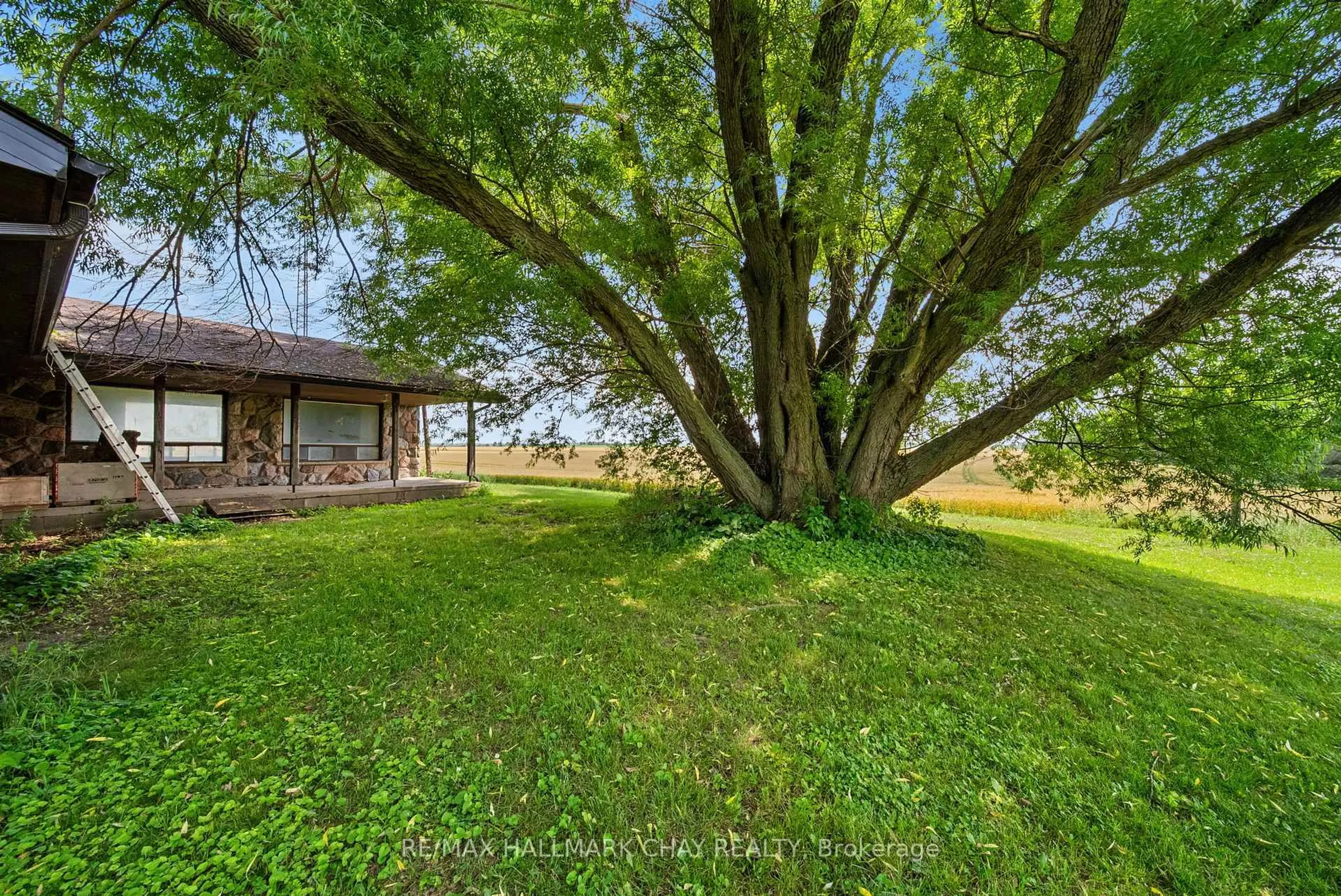 A pic from outside/outdoor area/front of a property/back of a property/a pic from drone, forest/trees view for 2247 15/16 Sdrd S Sunn, Clearview Ontario L0M 1N0