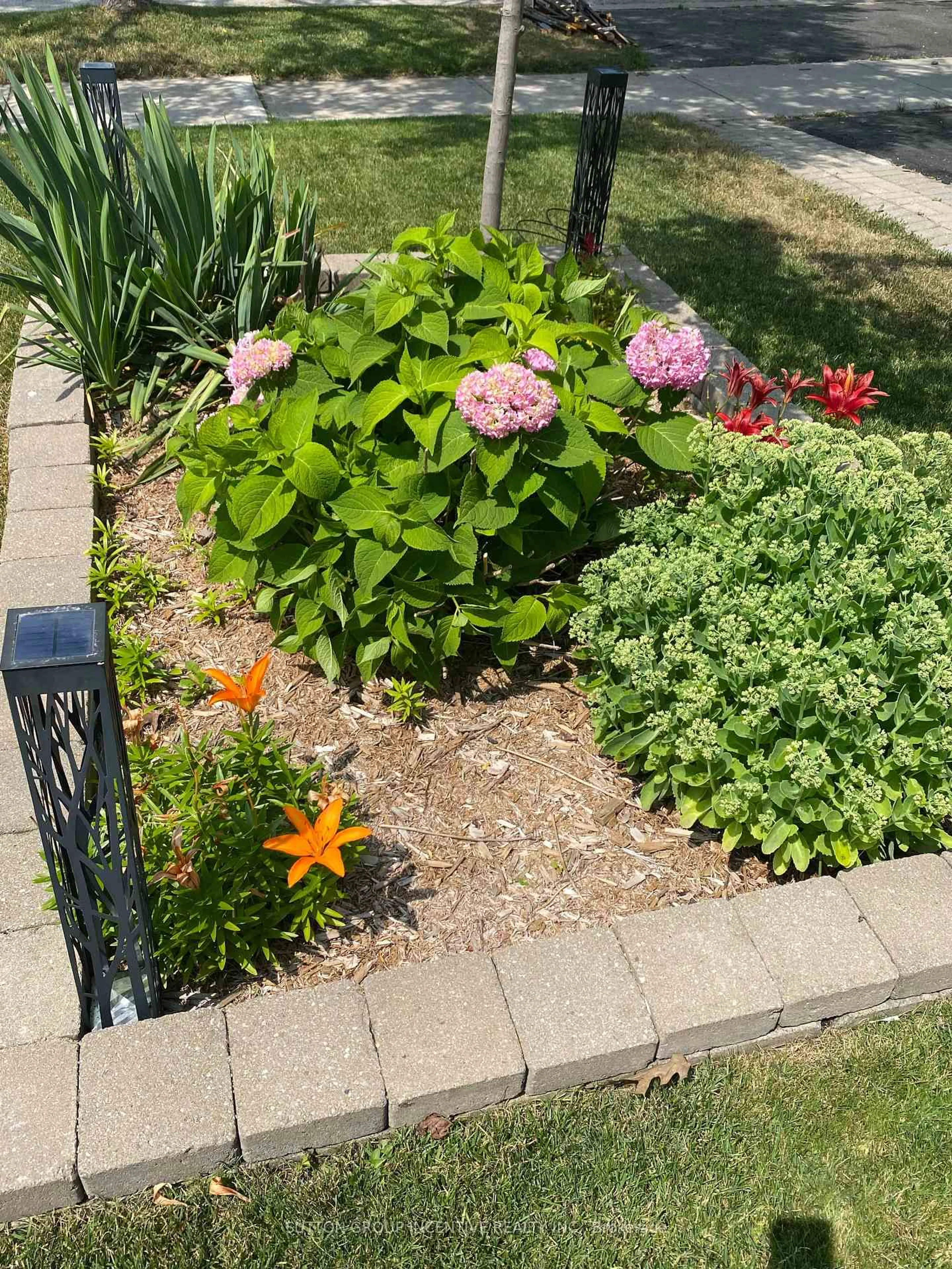 Patio, street for 6 Sundew Dr, Barrie Ontario L4N 9L9
